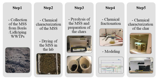 The Effect of the Elemental Composition of Municipal Sewage Sludge 