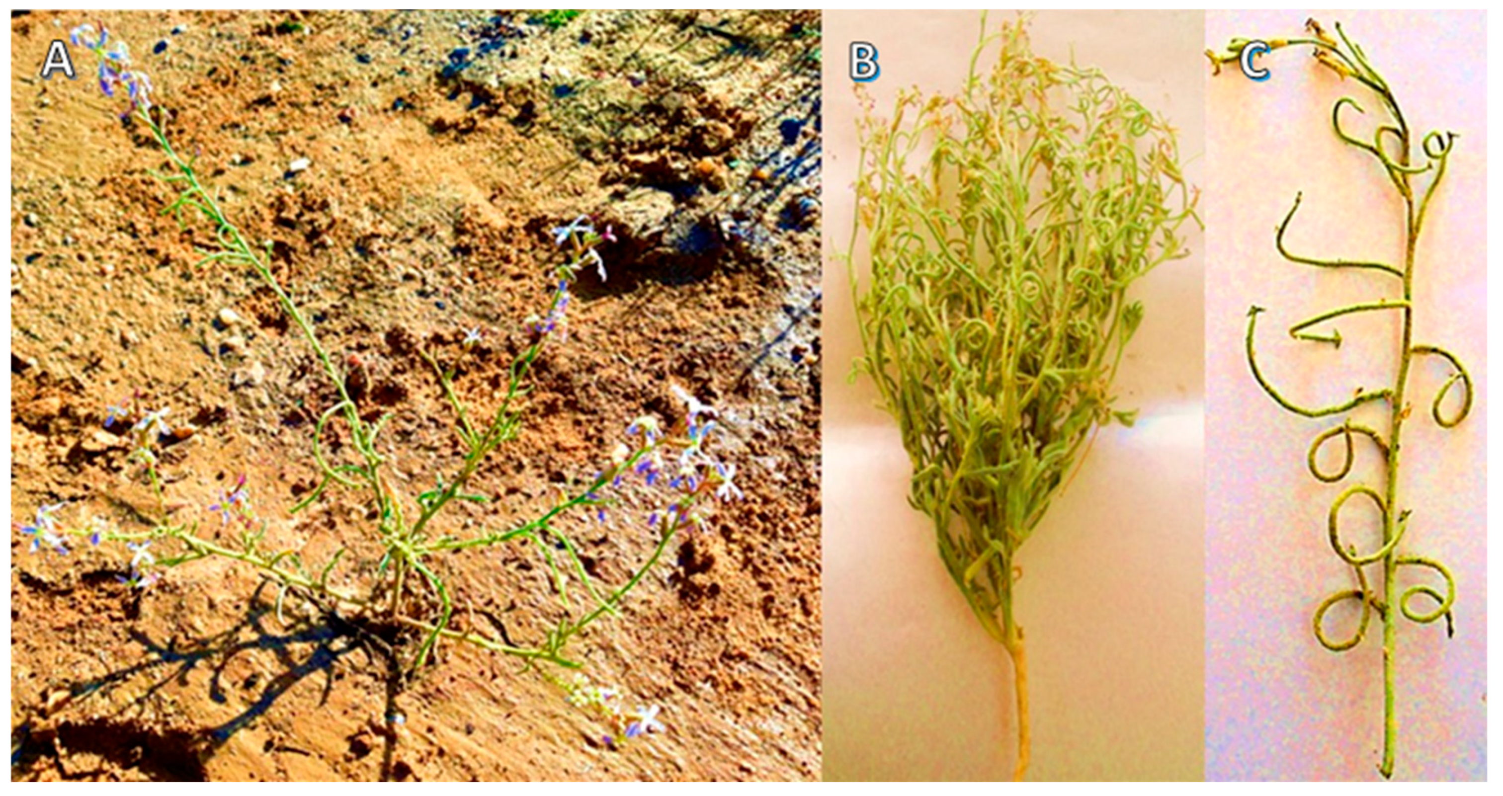 Separations 10 00053 g001 Separations 10 00053 g001