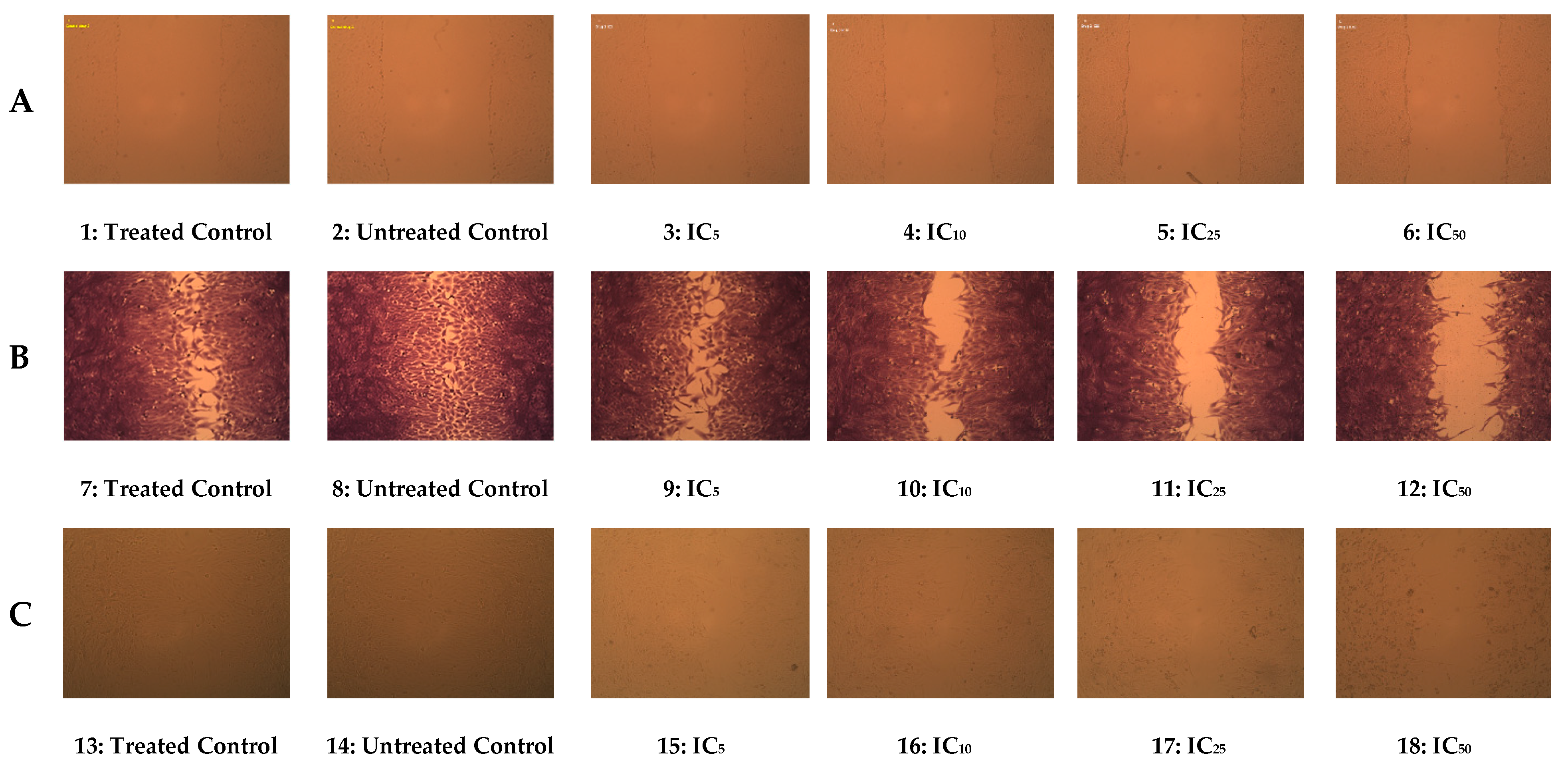 Separations 10 00053 g007 Separations 10 00053 g007