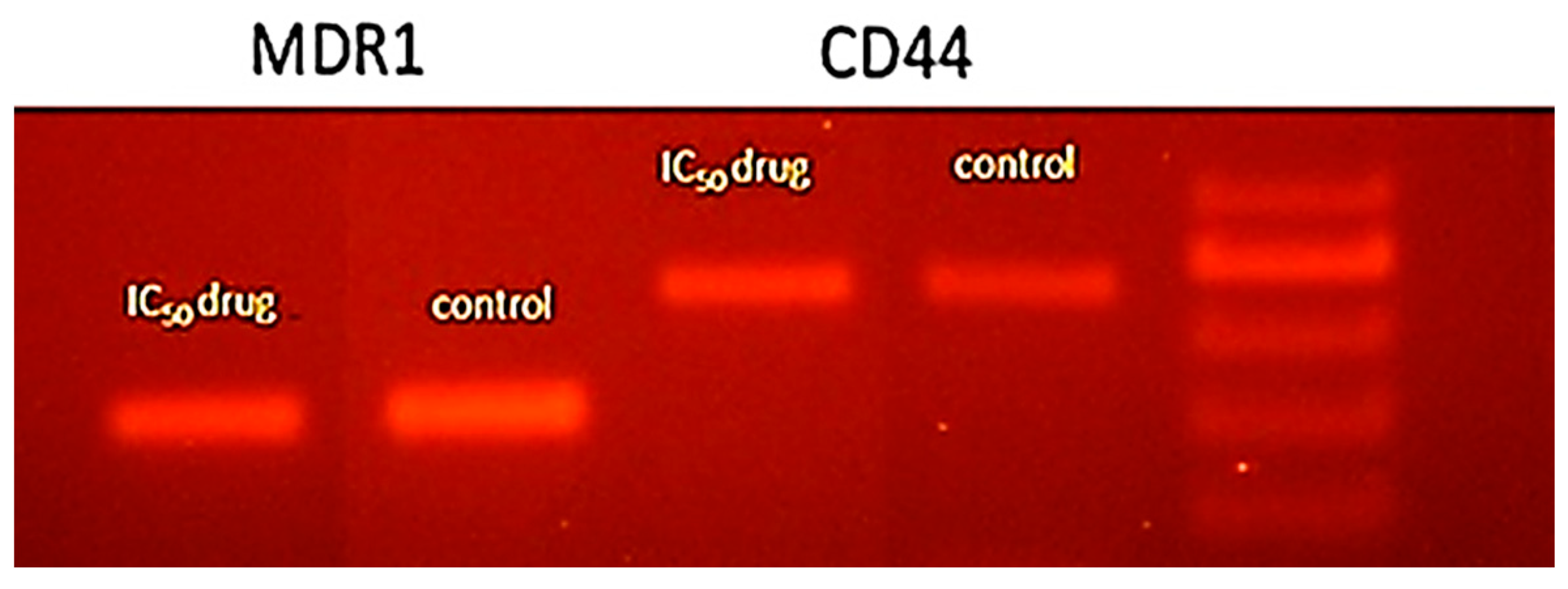 Separations 10 00053 g008 Separations 10 00053 g008
