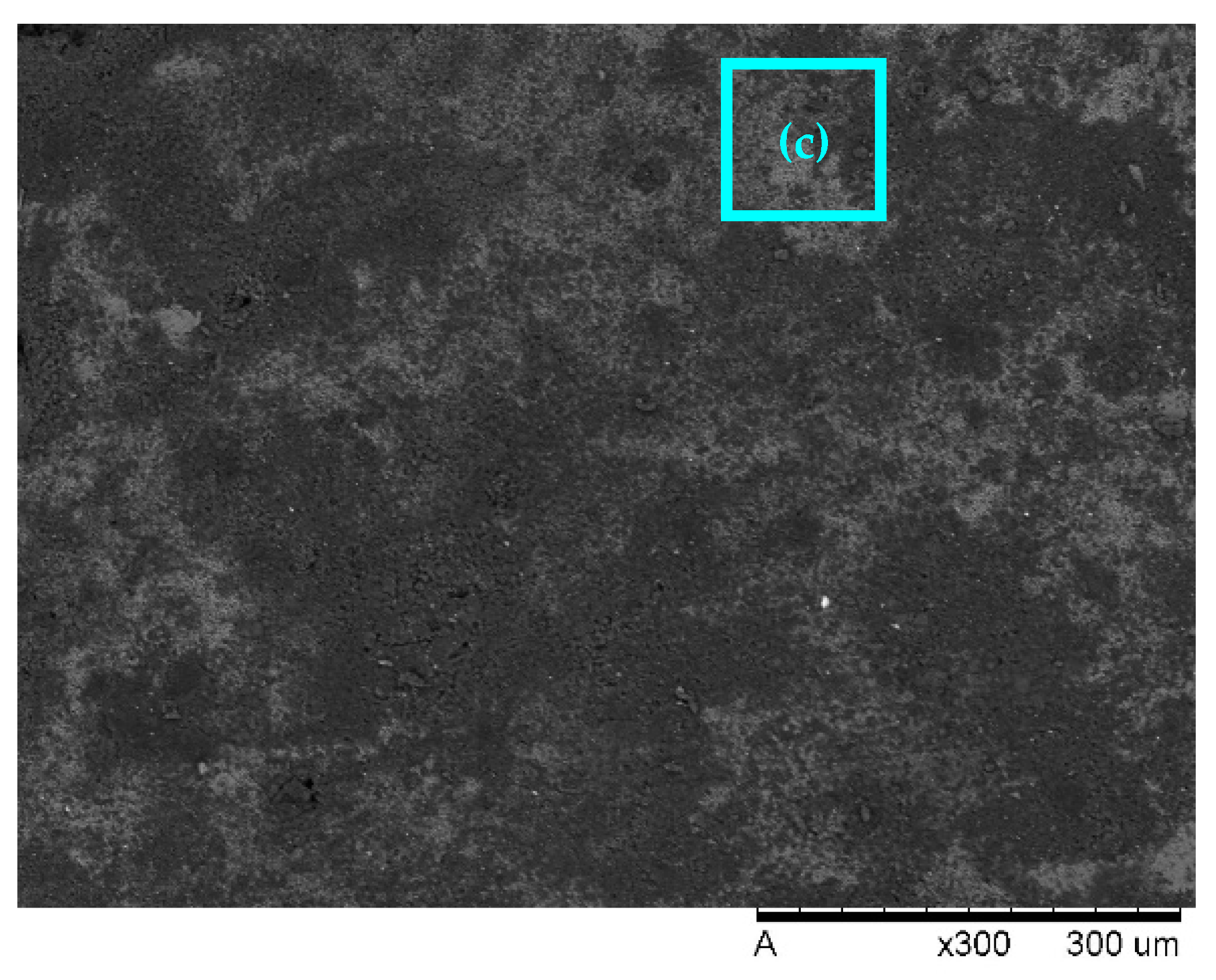 Separations 10 00061 g009b Separations 10 00061 g009b