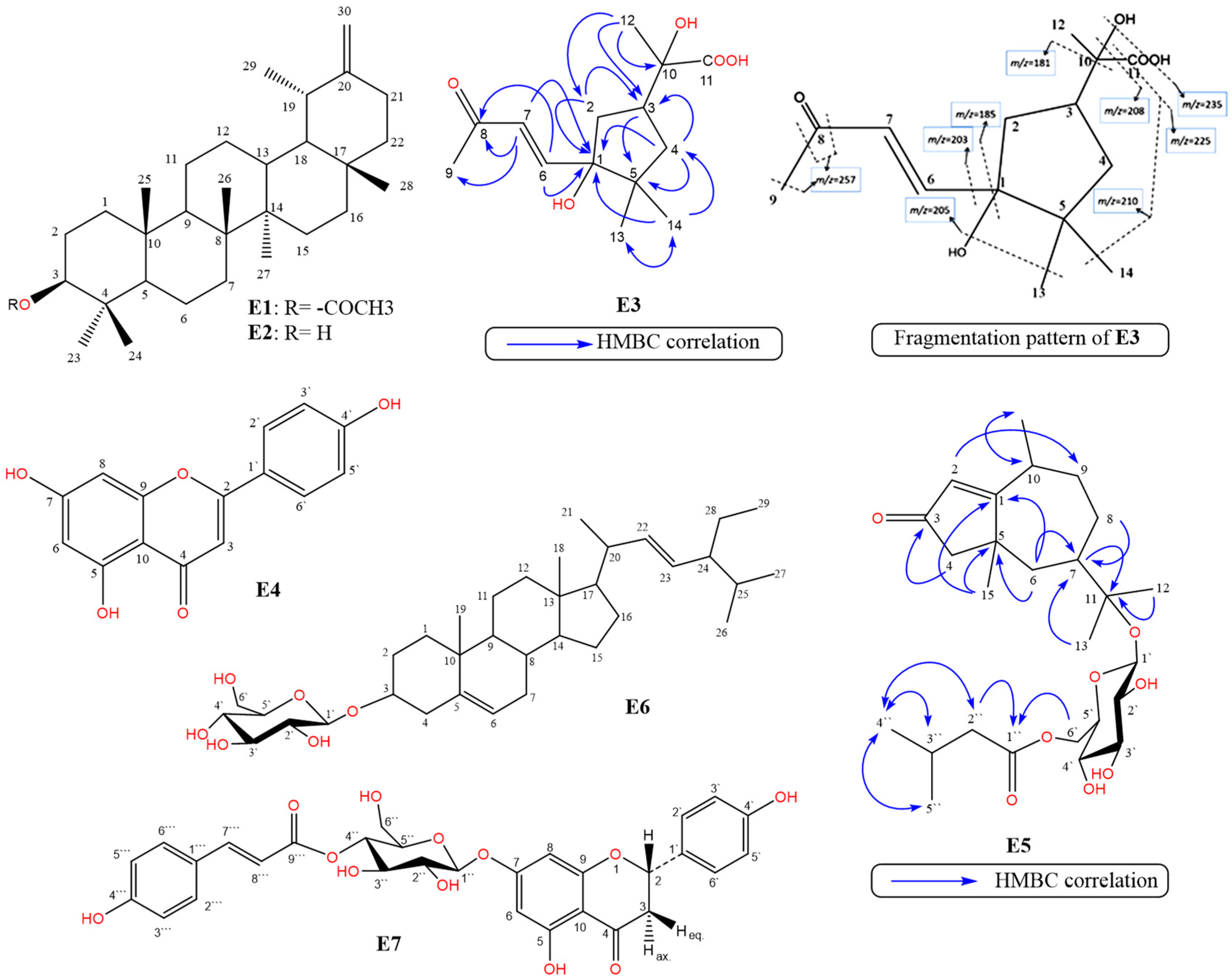 Separations 10 00076 g001
