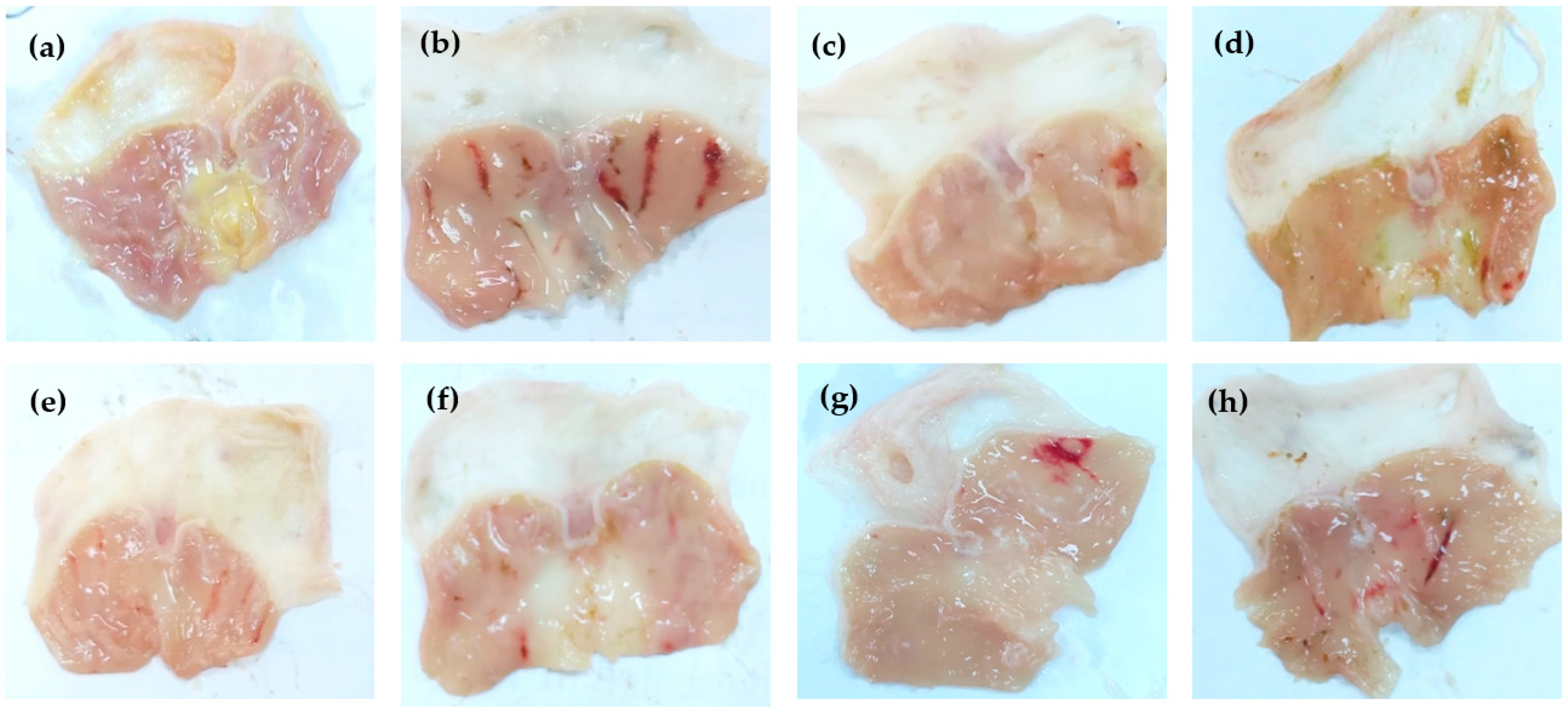 Separations 10 00076 g002