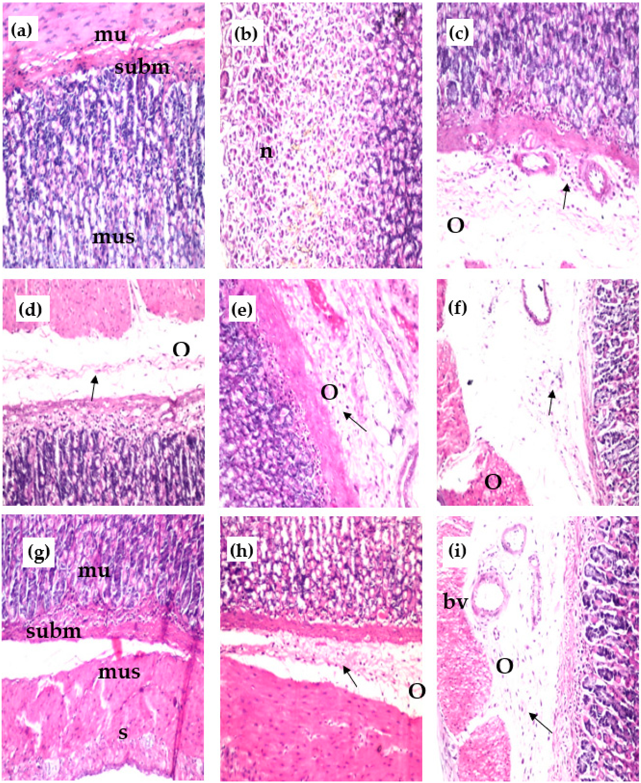 Separations 10 00076 g003