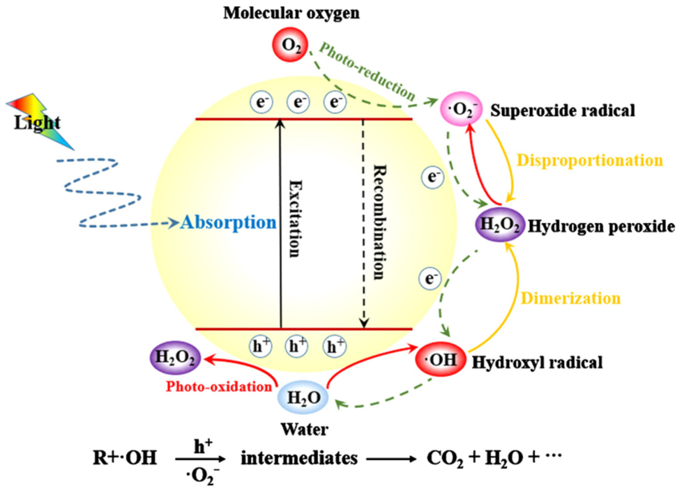 Separations 10 00077 g001