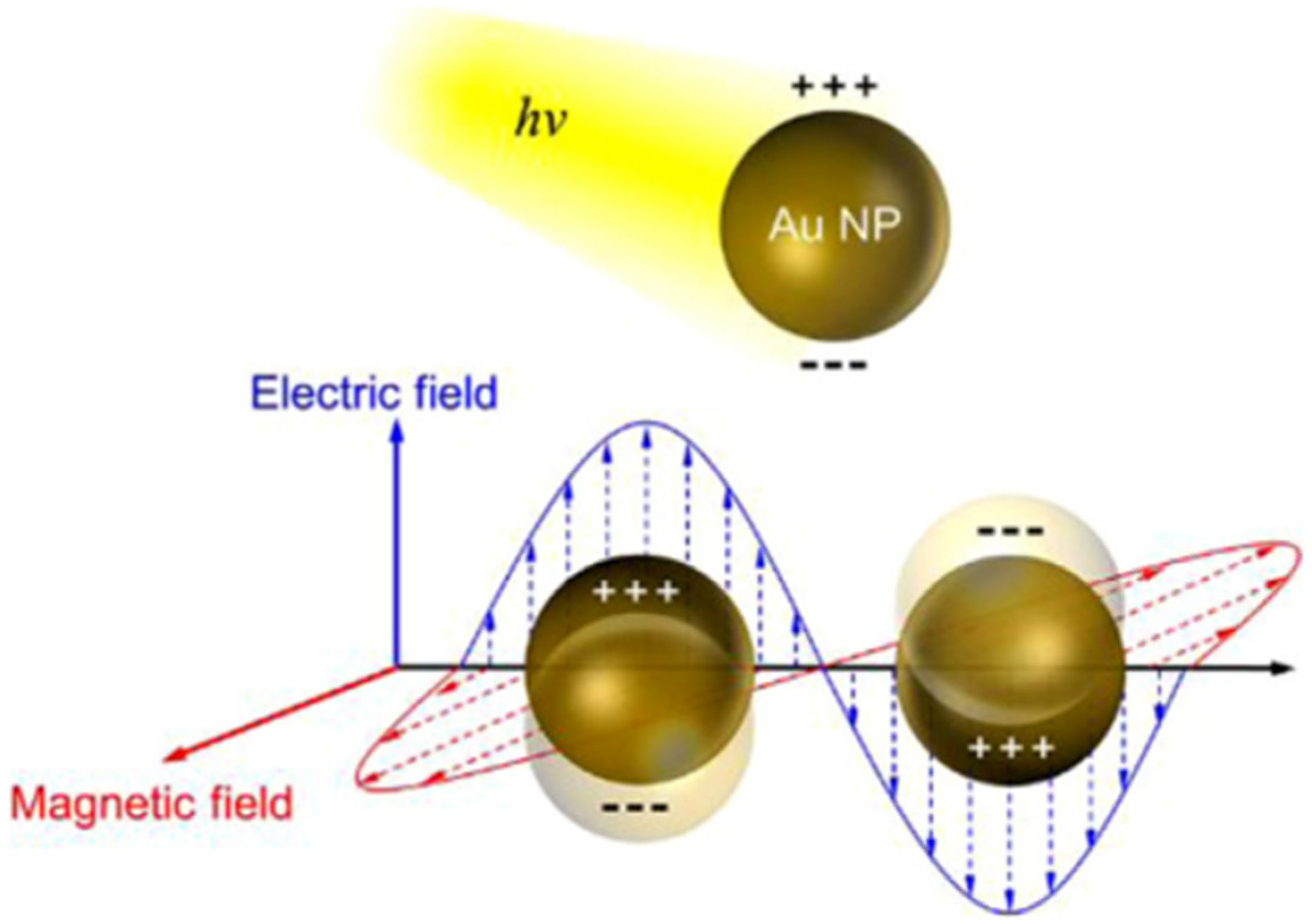 Separations 10 00077 g017