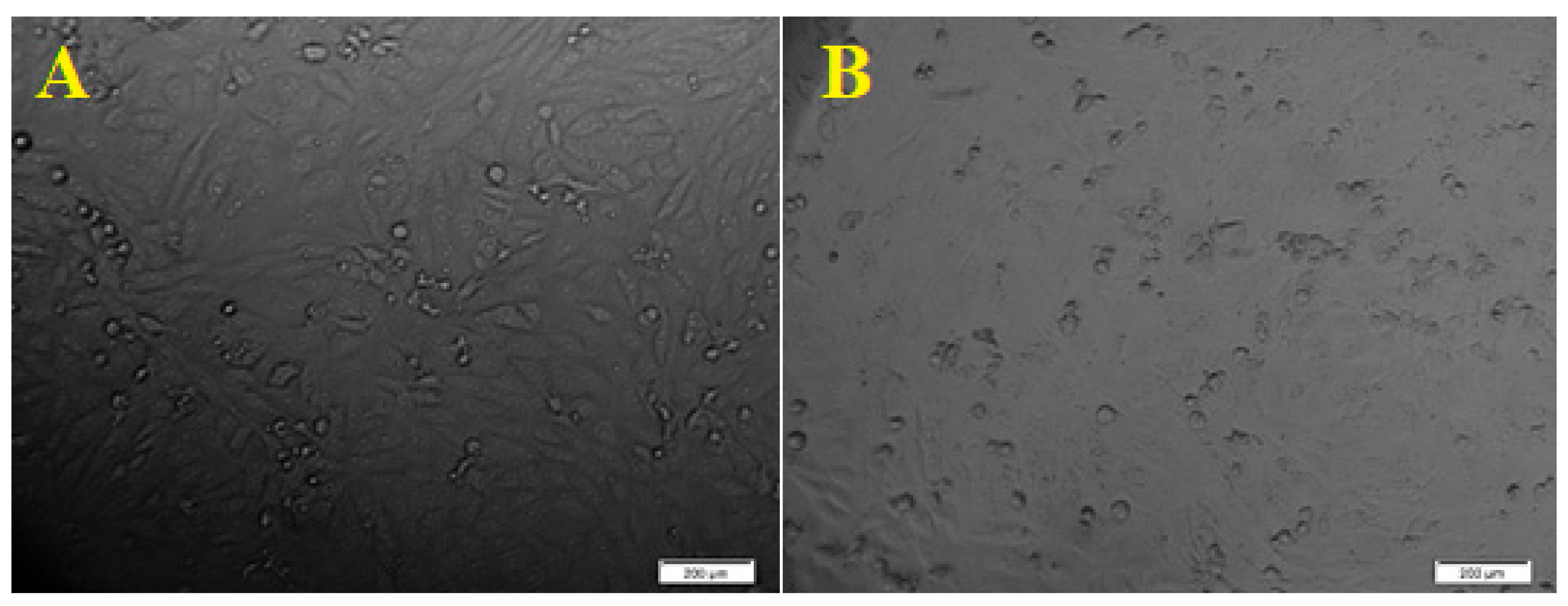 Separations 10 00078 g007 Separations 10 00078 g007