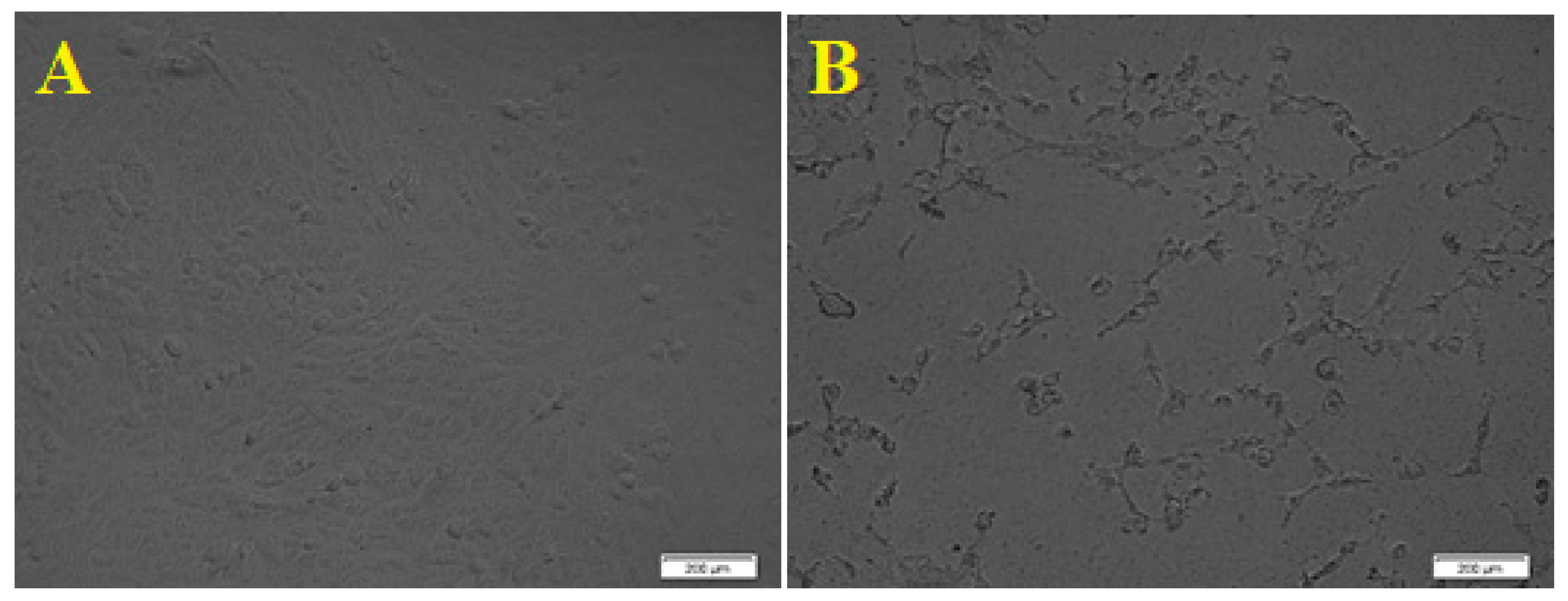 Separations 10 00078 g009 Separations 10 00078 g009