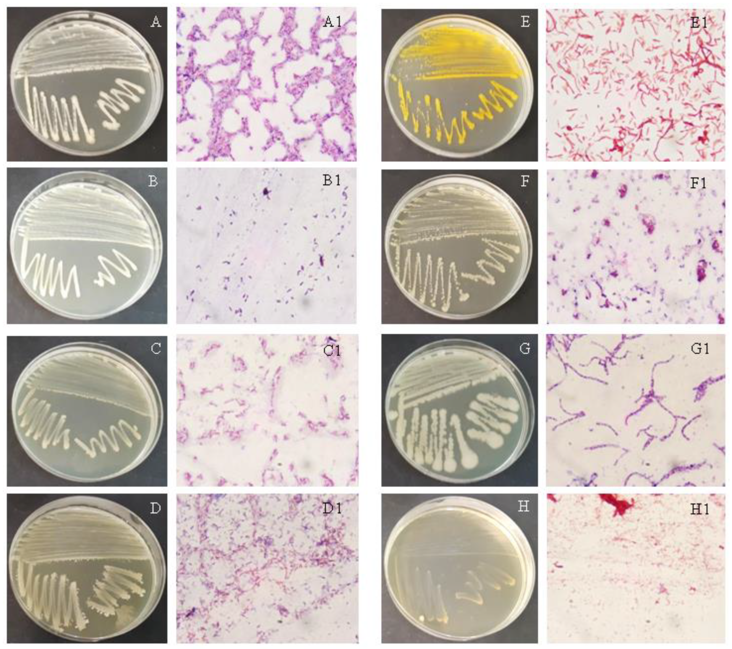 Separations 10 00079 g002 Separations 10 00079 g002