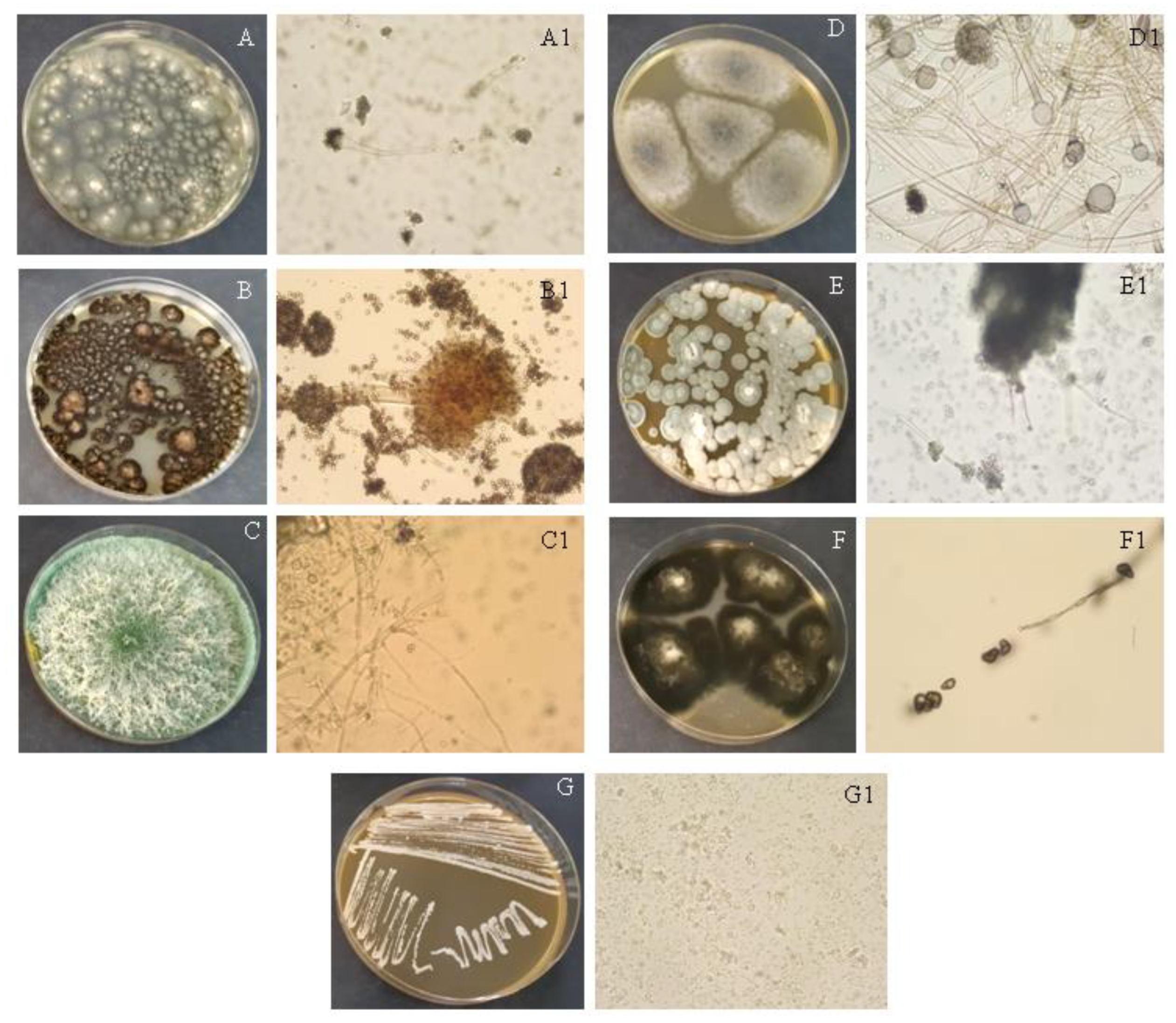 Separations 10 00079 g003 Separations 10 00079 g003