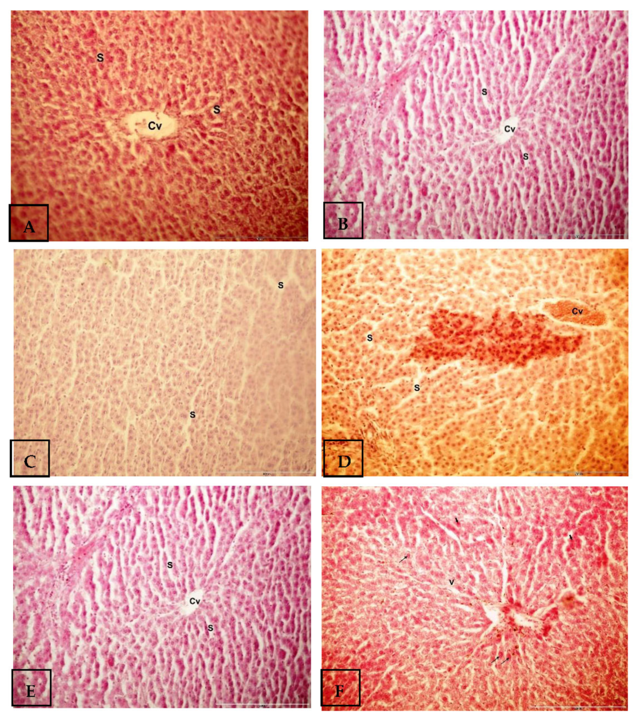 Separations 10 00094 g004 Separations 10 00094 g004