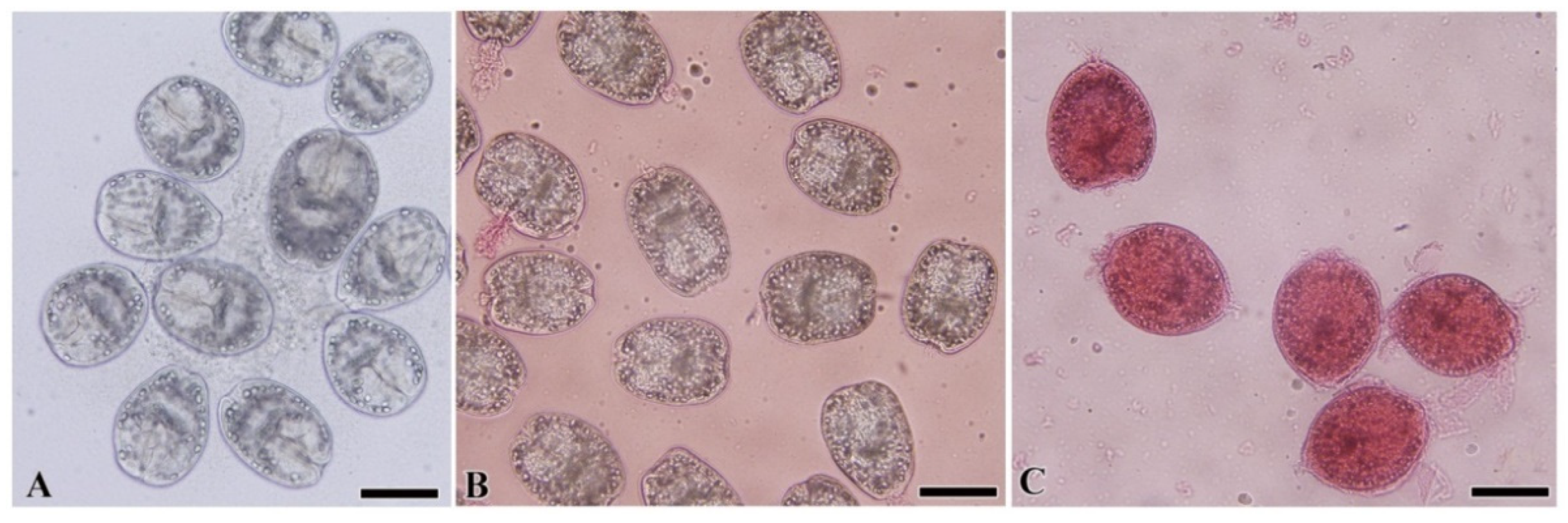 Separations 10 00100 g004 Separations 10 00100 g004