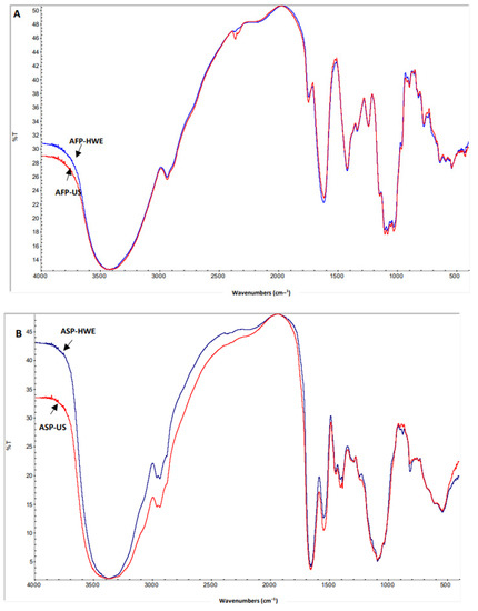 Extraction, Characterization, and Antioxidant Activity of