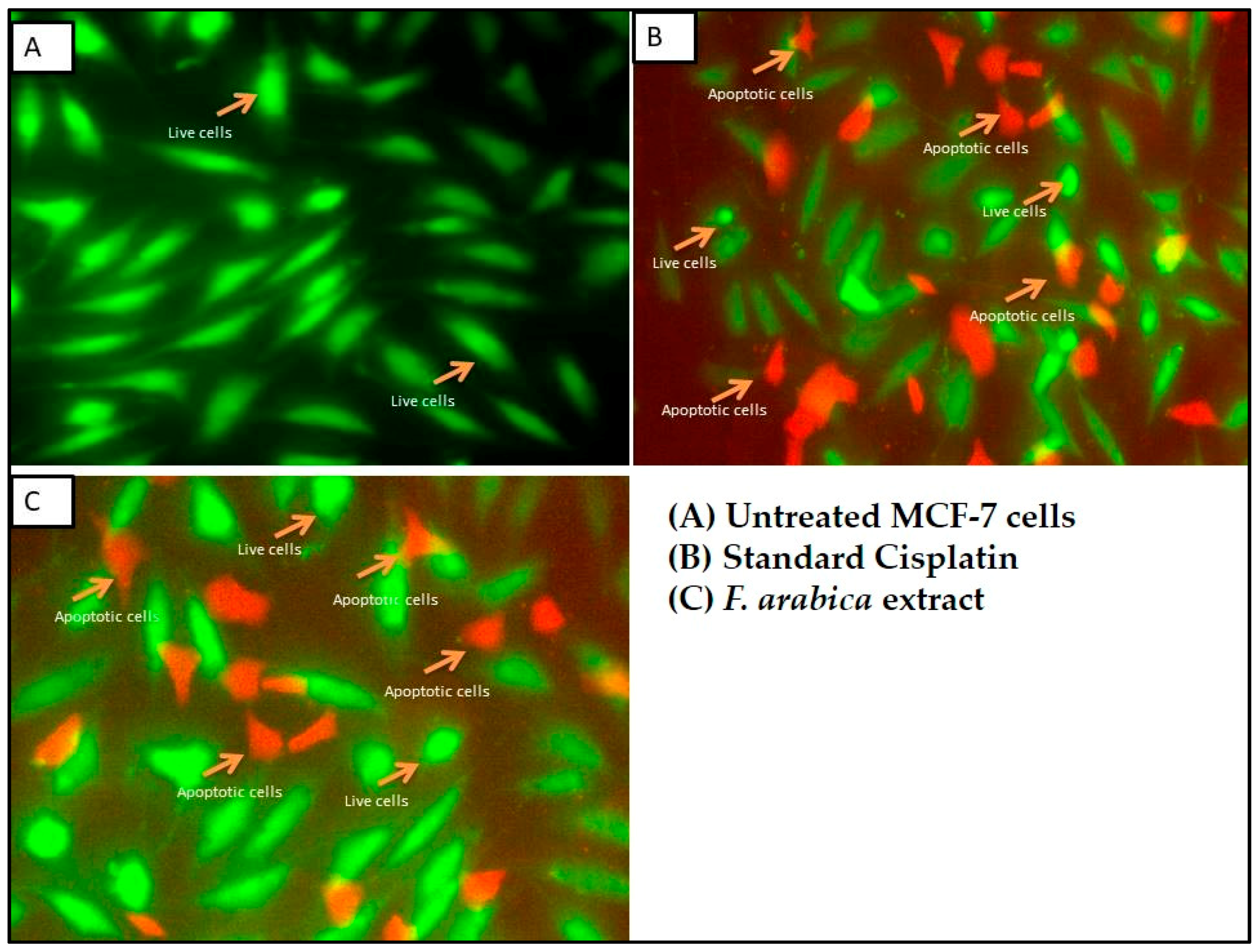Separations 10 00110 g001