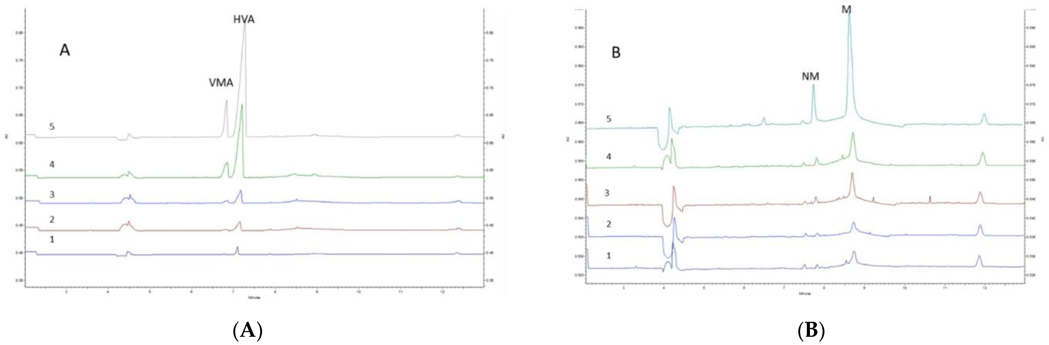 Separations 10 00116 g002