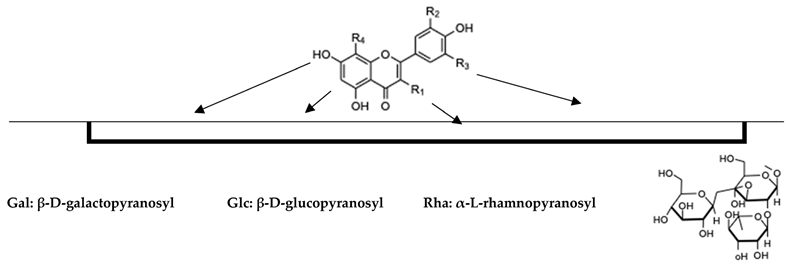 Separations 10 00121 i001 Separations 10 00121 i001