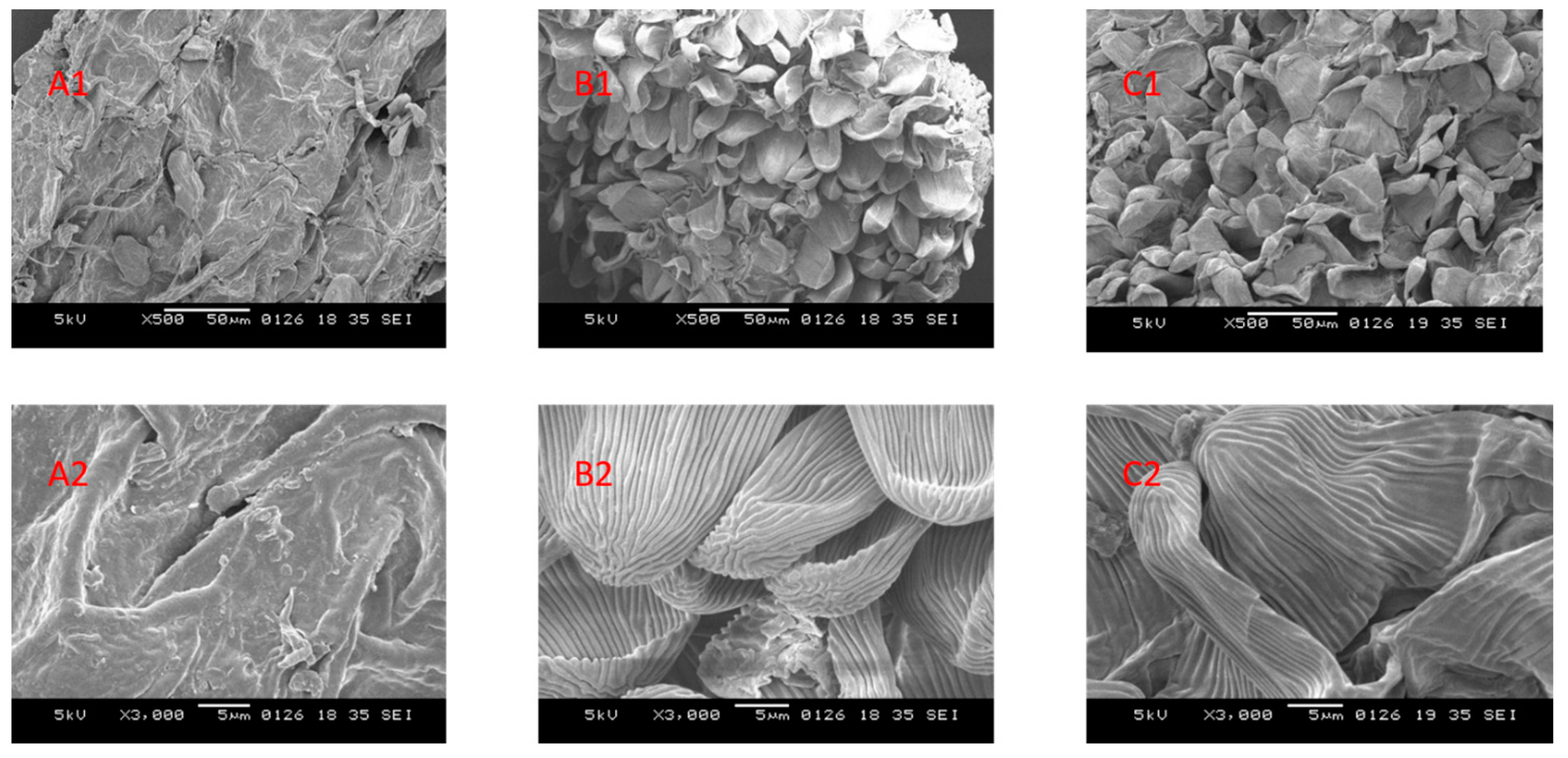 Separations 10 00133 g005 Separations 10 00133 g005