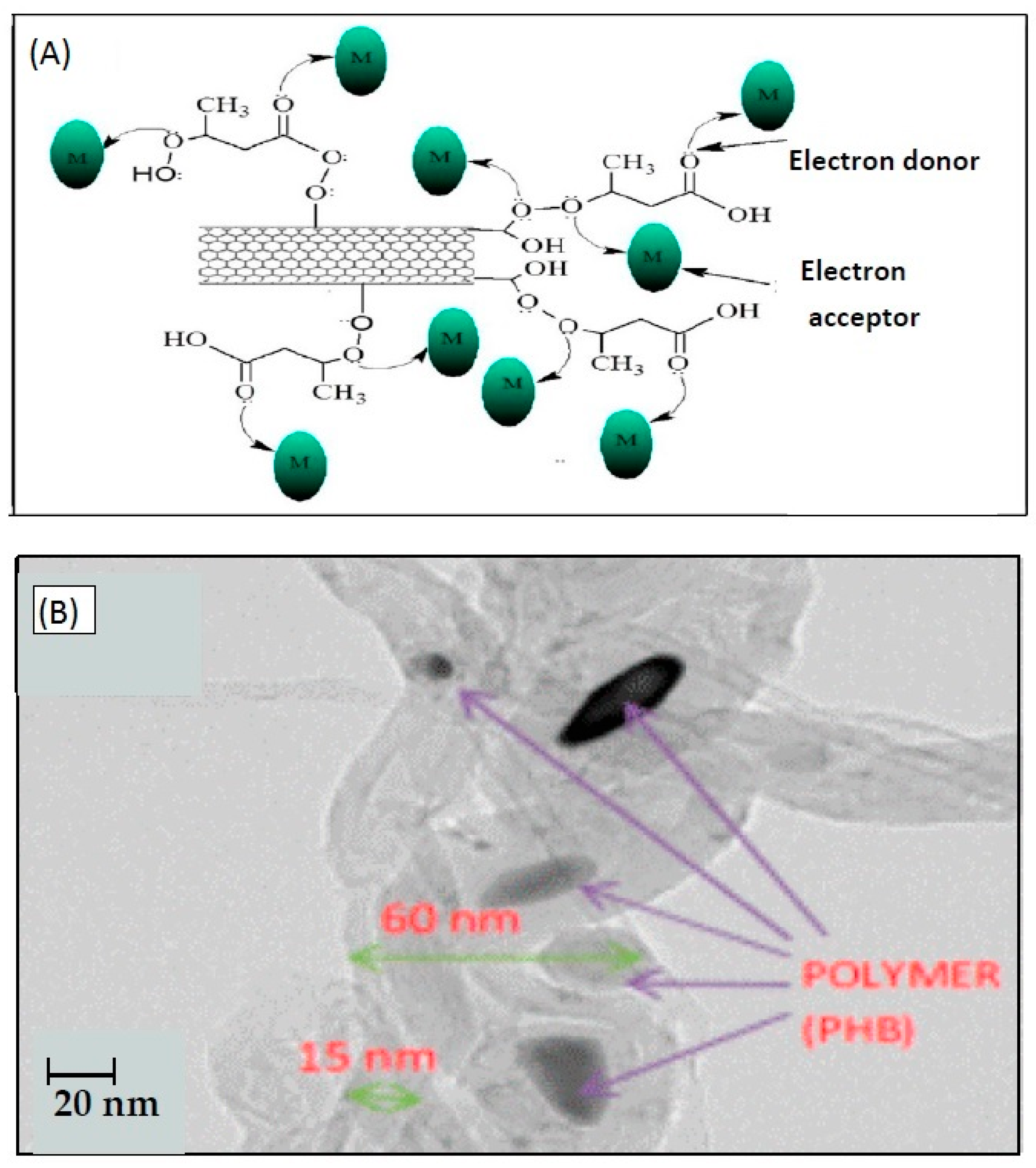 Separations 10 00152 g006