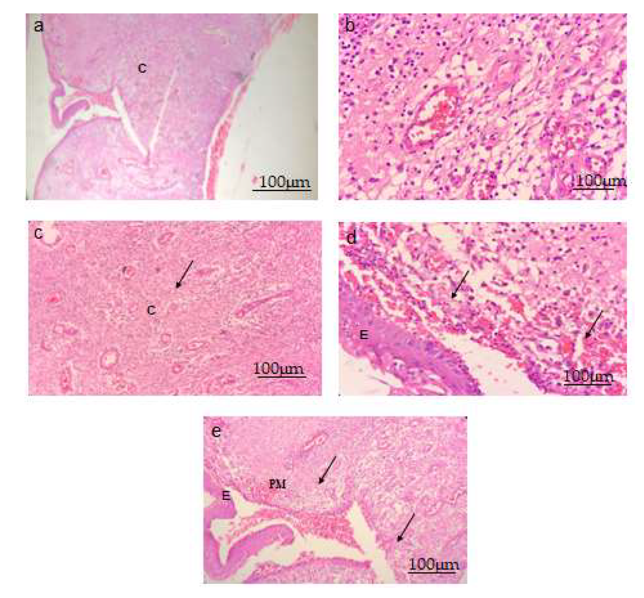 Separations 10 00166 g008
