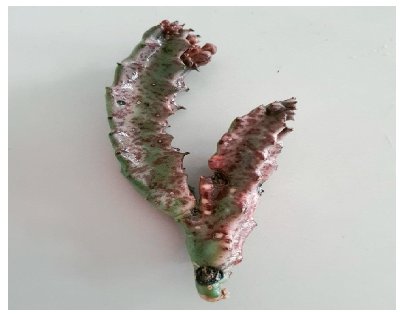 Separations 10 00172 g001 Separations 10 00172 g001