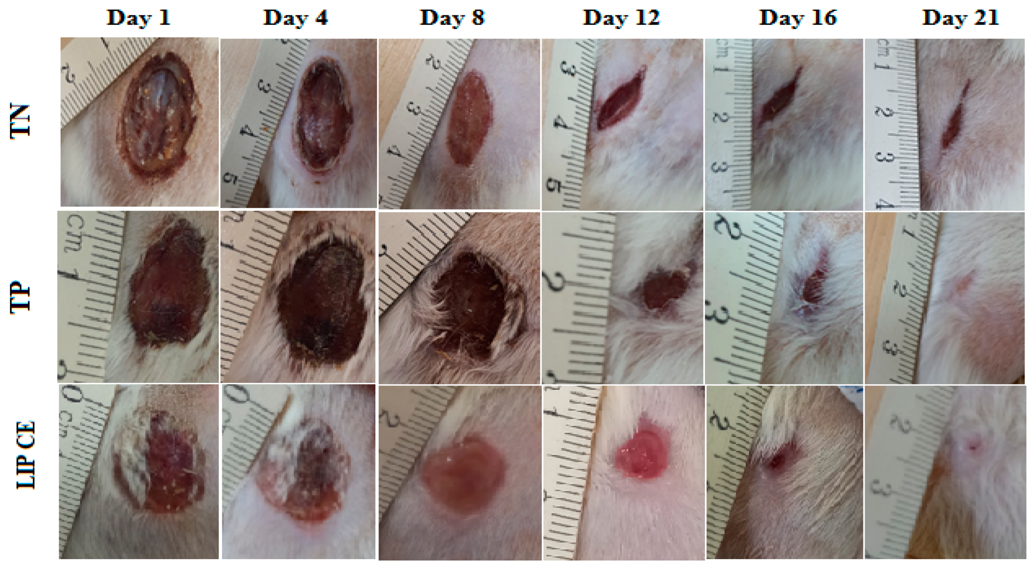 Separations 10 00172 g007 Separations 10 00172 g007