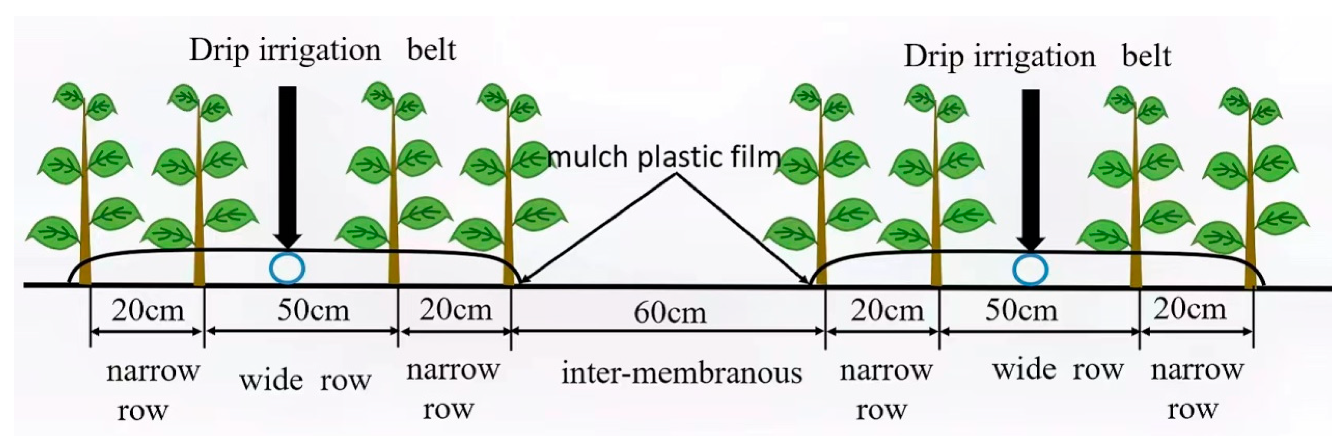 Irrigation-Methods of irrigation - YouTube