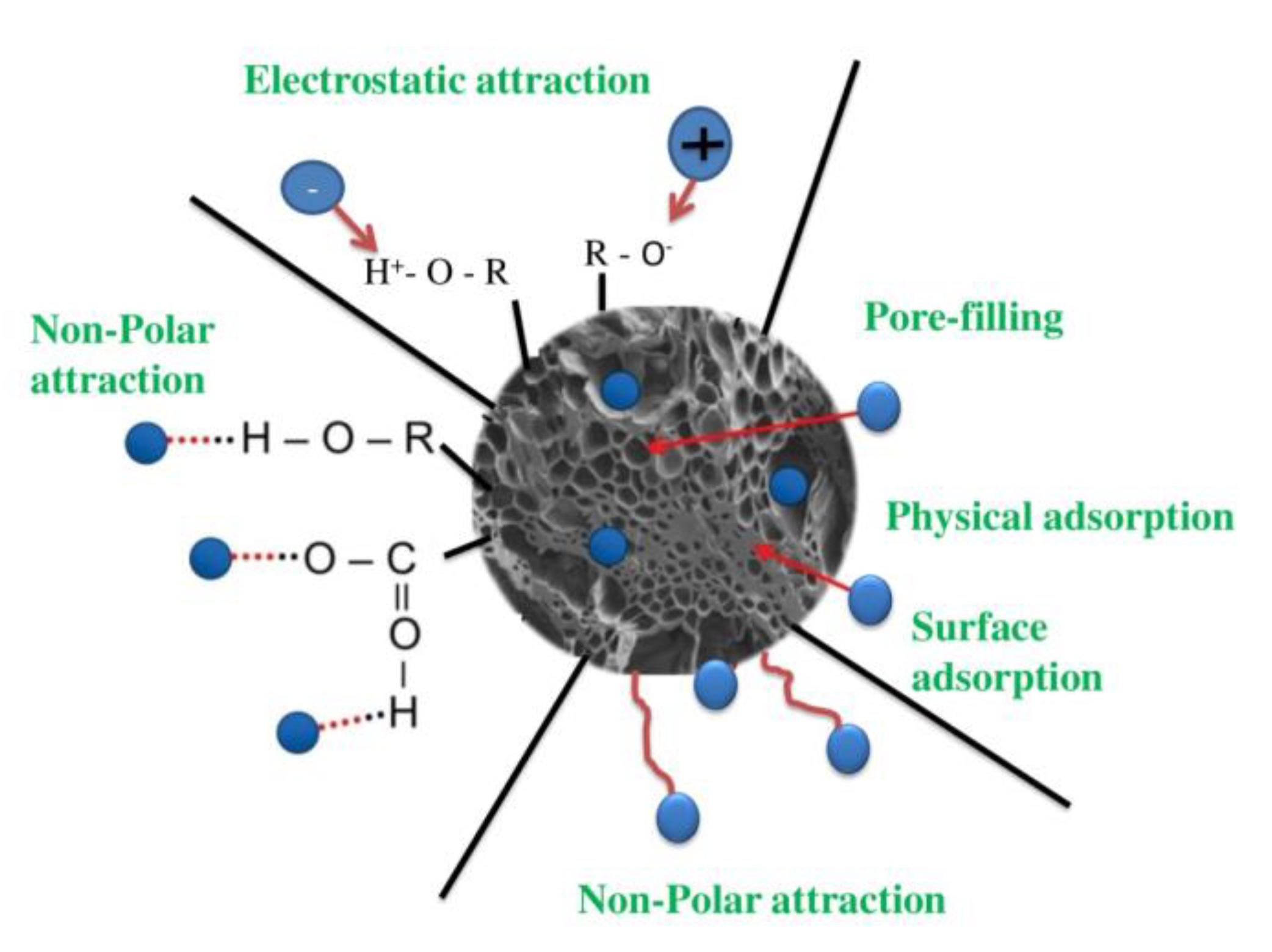 Separations 10 00197 g004 Separations 10 00197 g004