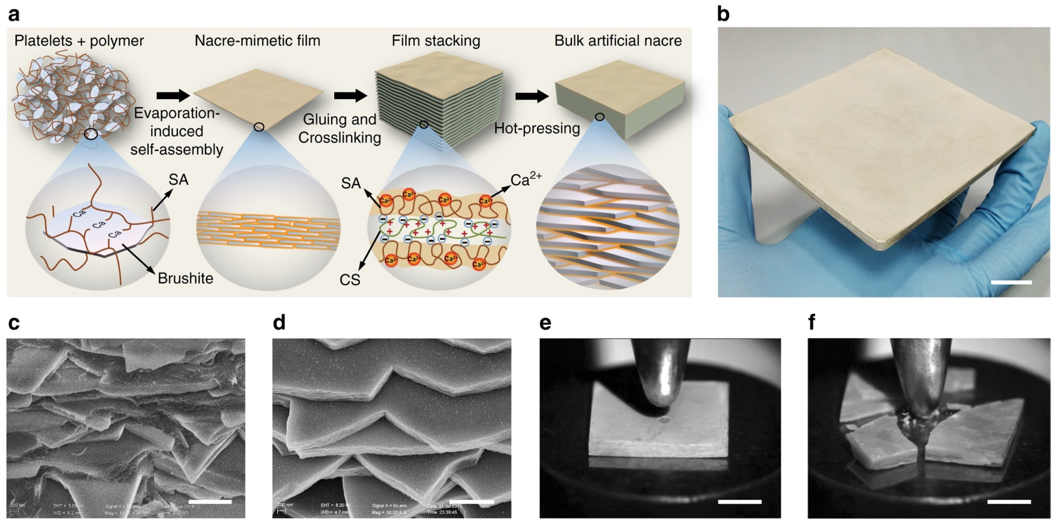 Separations 10 00205 g003 Separations 10 00205 g003