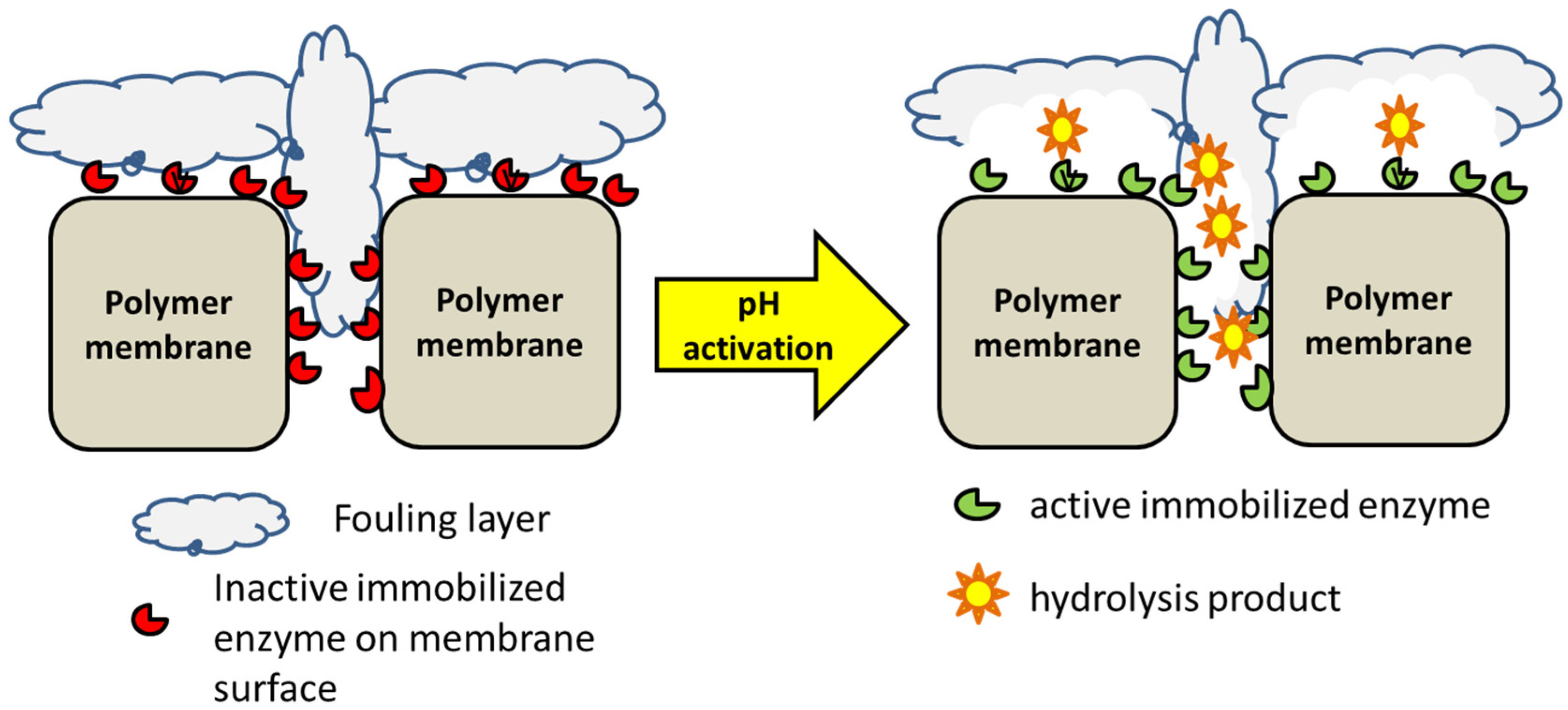 Separations 10 00205 g005 Separations 10 00205 g005