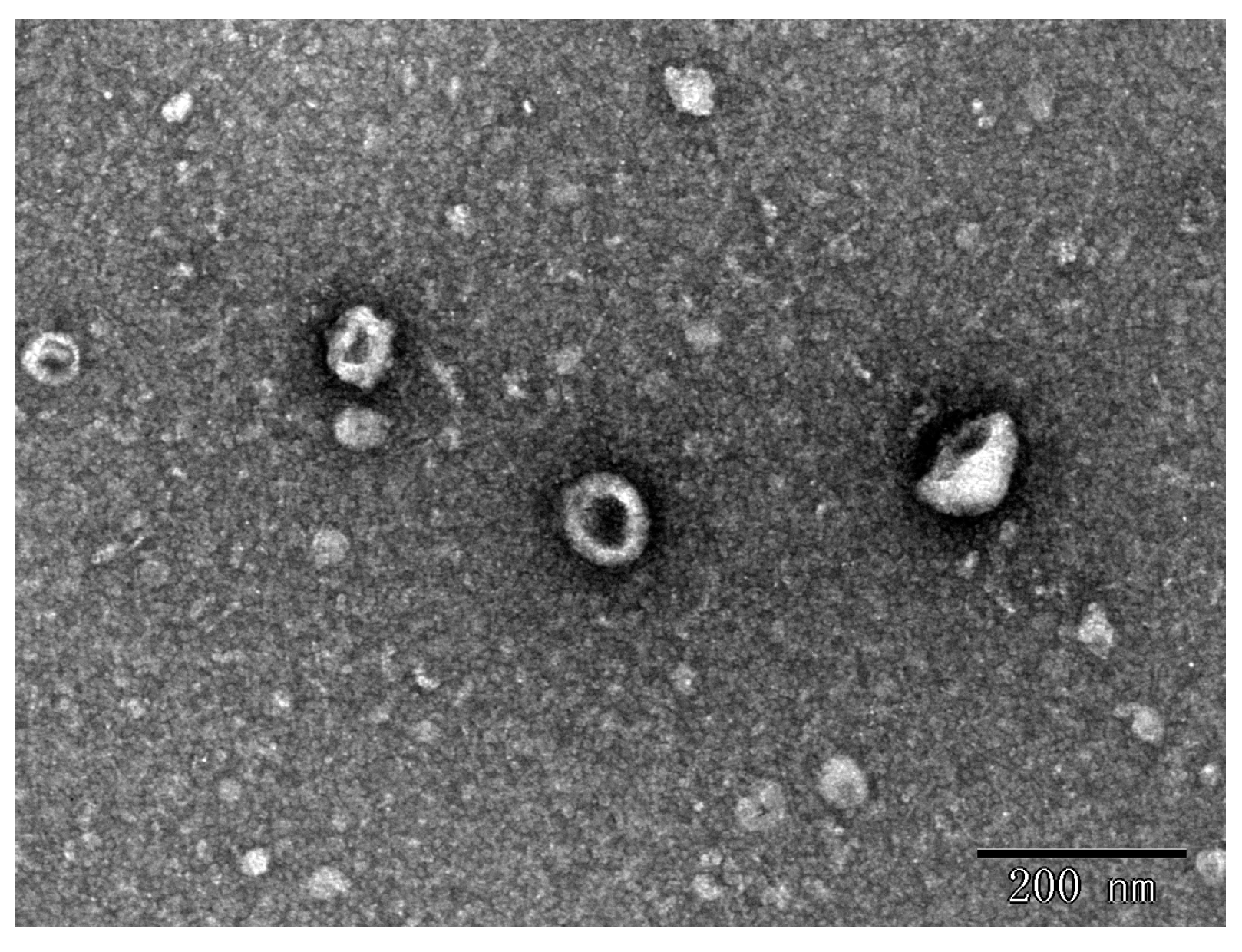 Separations 10 00218 g003 Separations 10 00218 g003