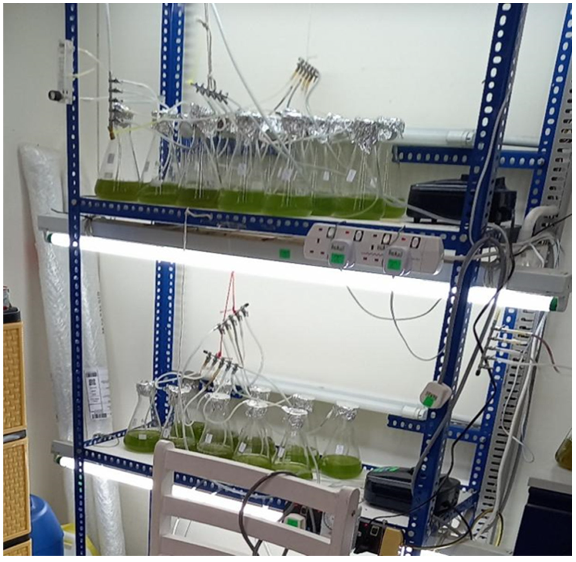 Separations 10 00229 g002 Separations 10 00229 g002