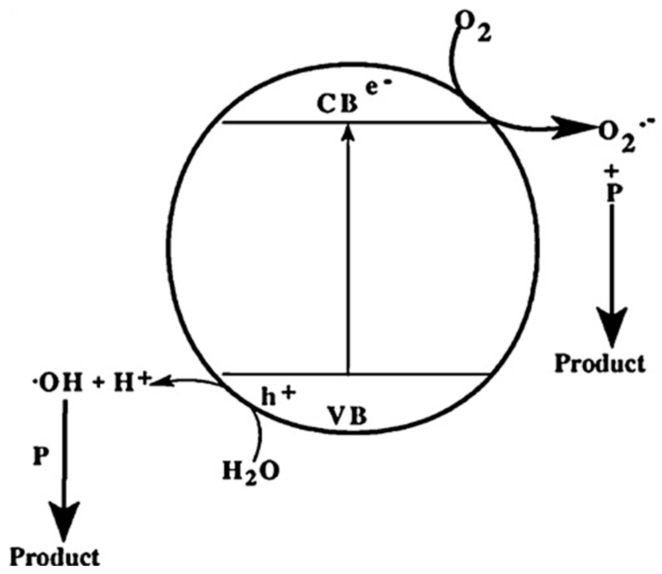 Separations 10 00230 g003 Separations 10 00230 g003