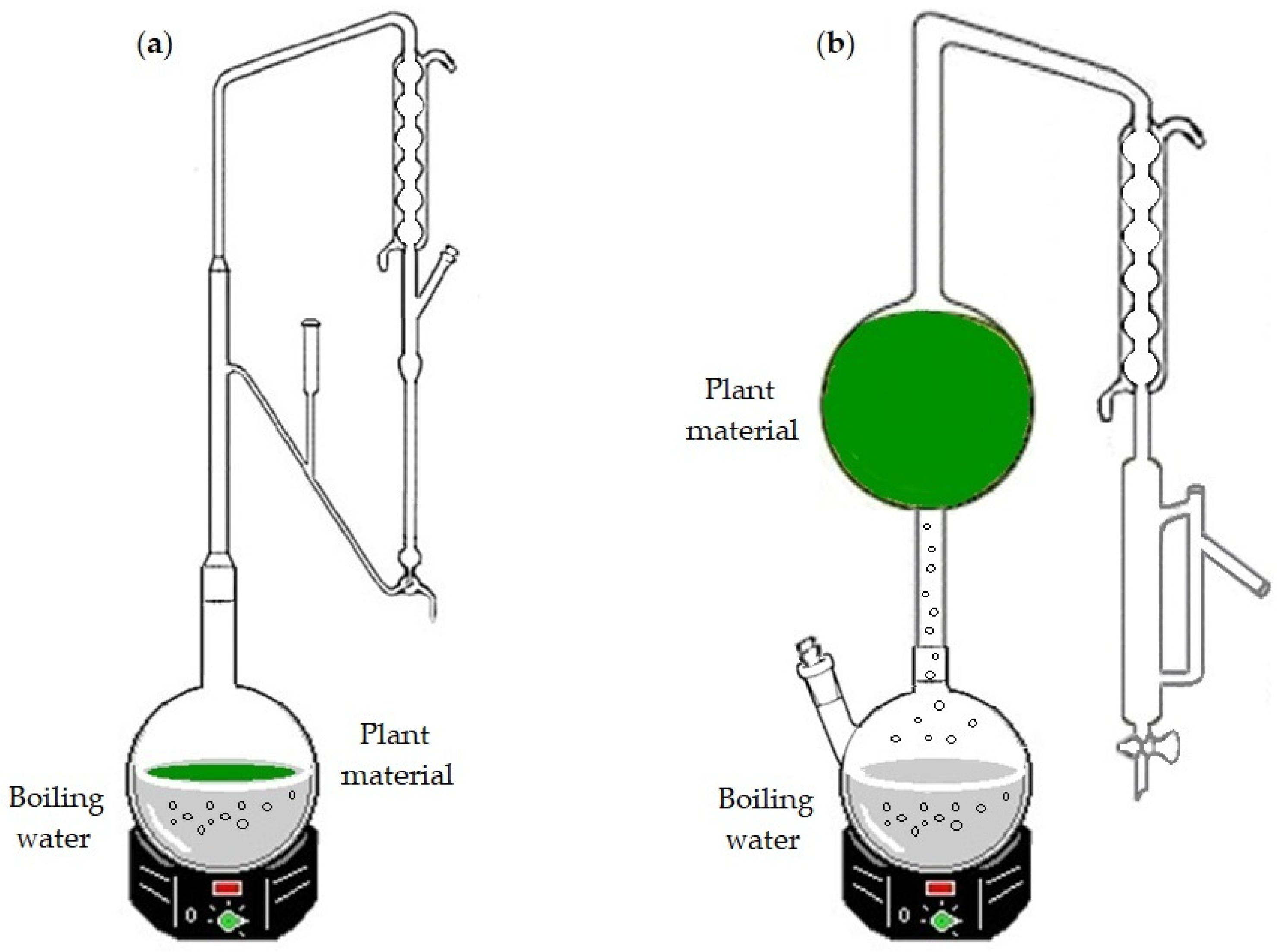 Separations Free FullText Essential Oil Variability of Azorean