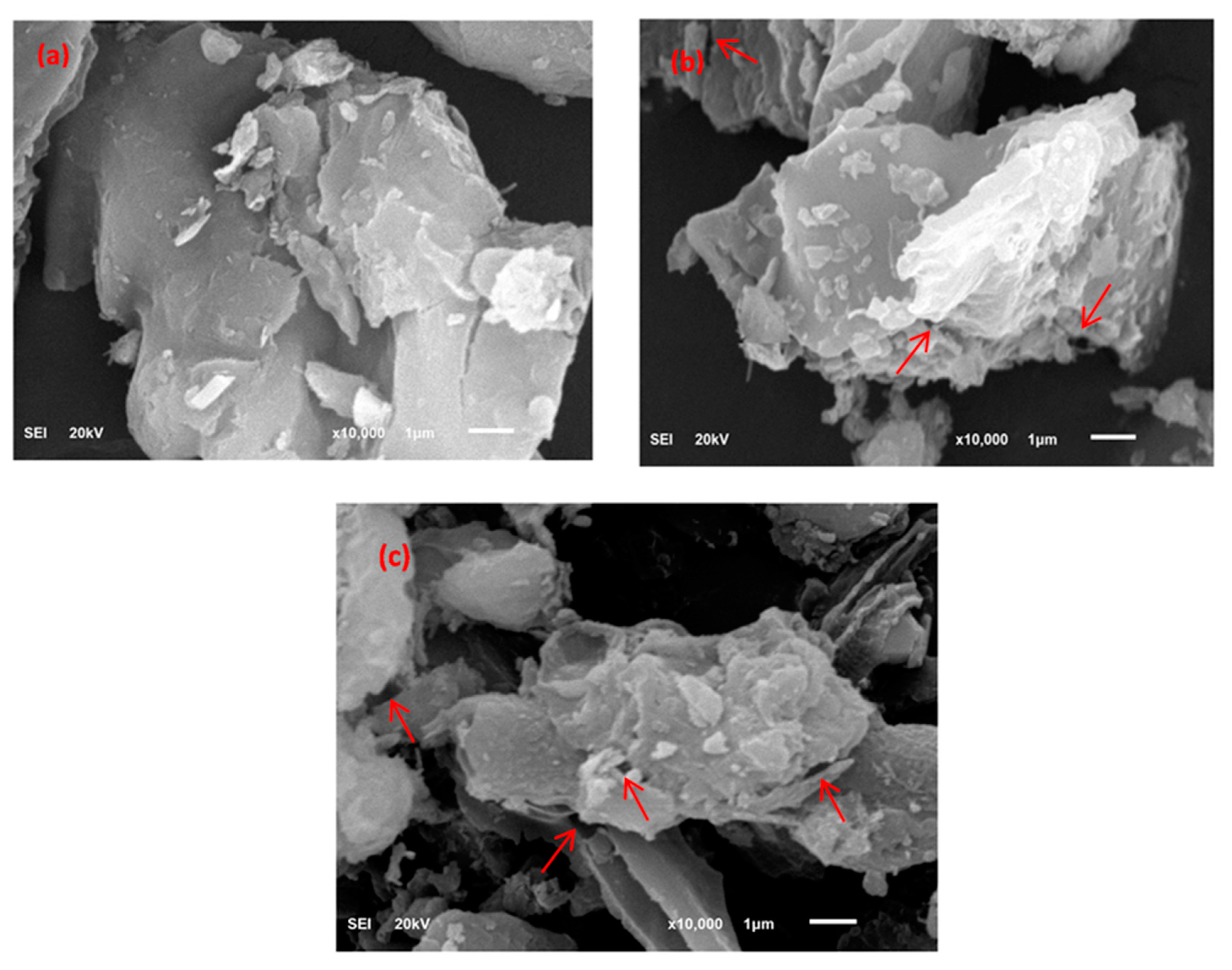 Separations 10 00260 g003