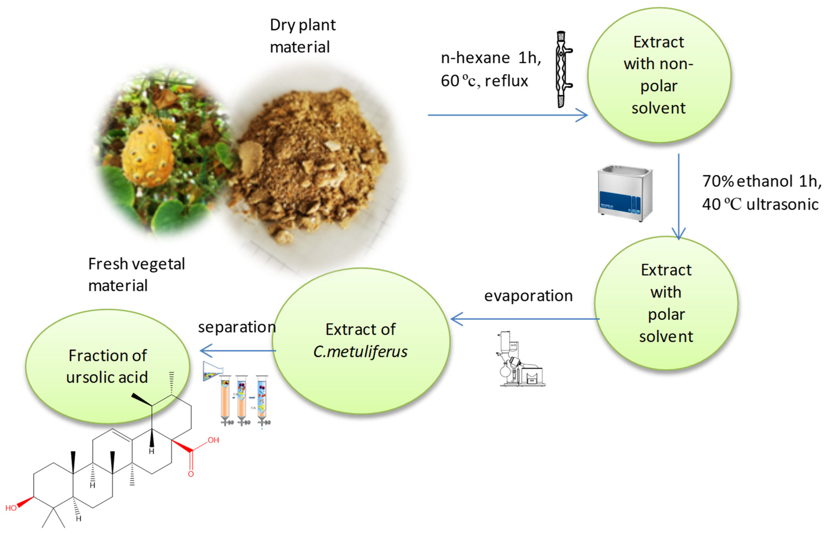 Separations 10 00274 g001 Separations 10 00274 g001