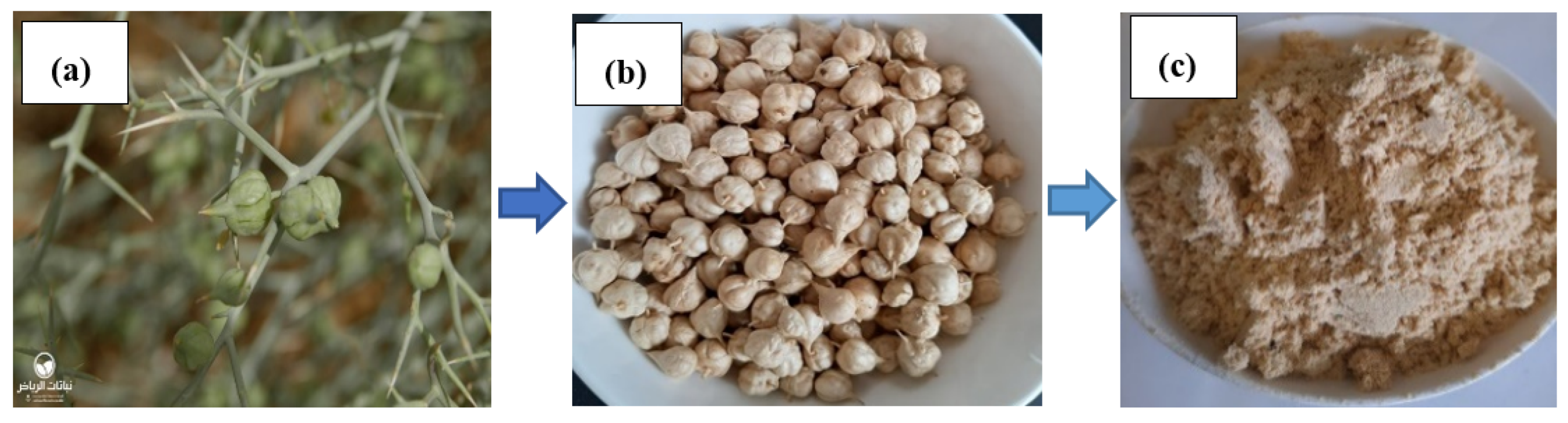 Separations 10 00296 g002 Separations 10 00296 g002