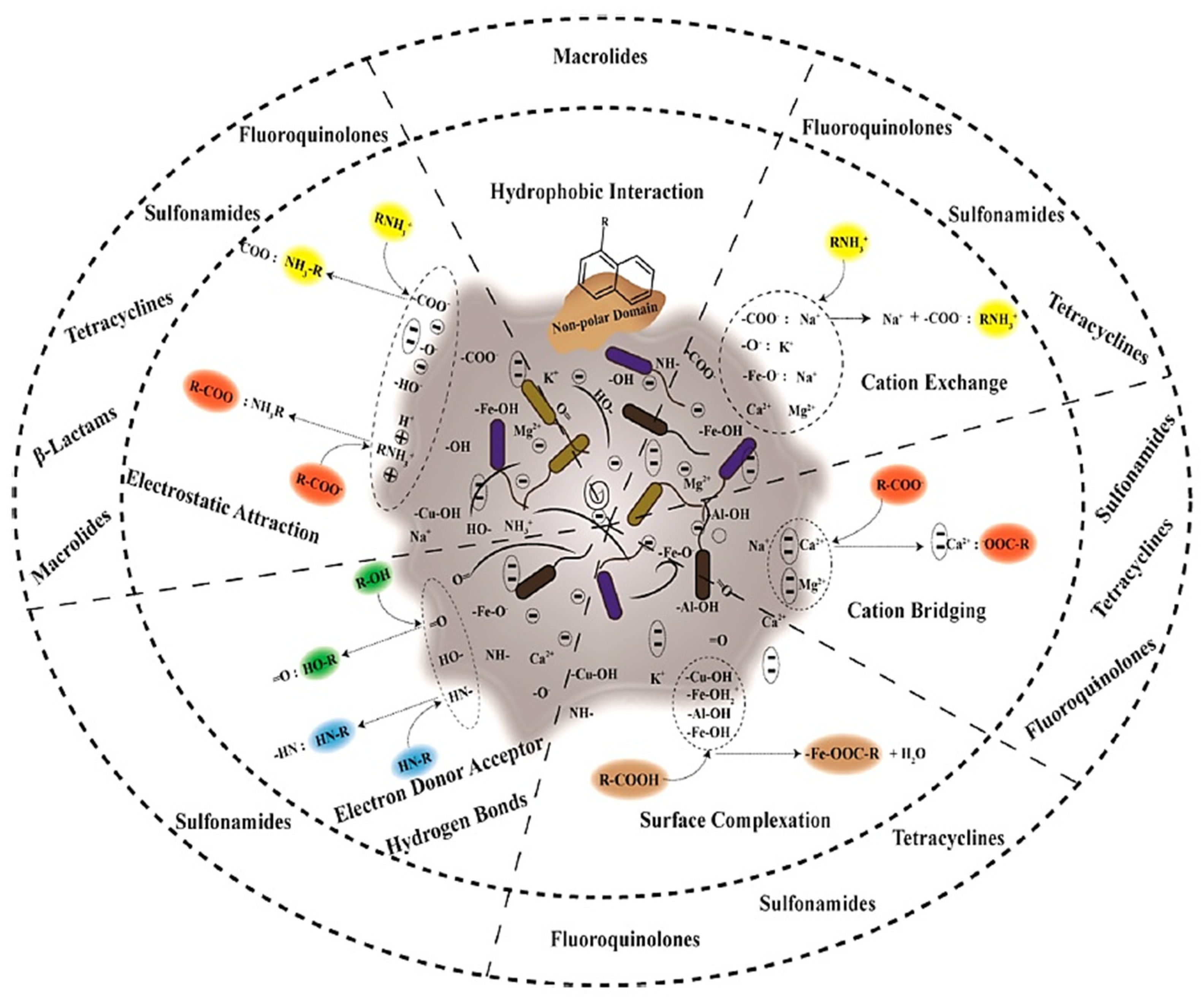 Separations 10 00300 g006 Separations 10 00300 g006