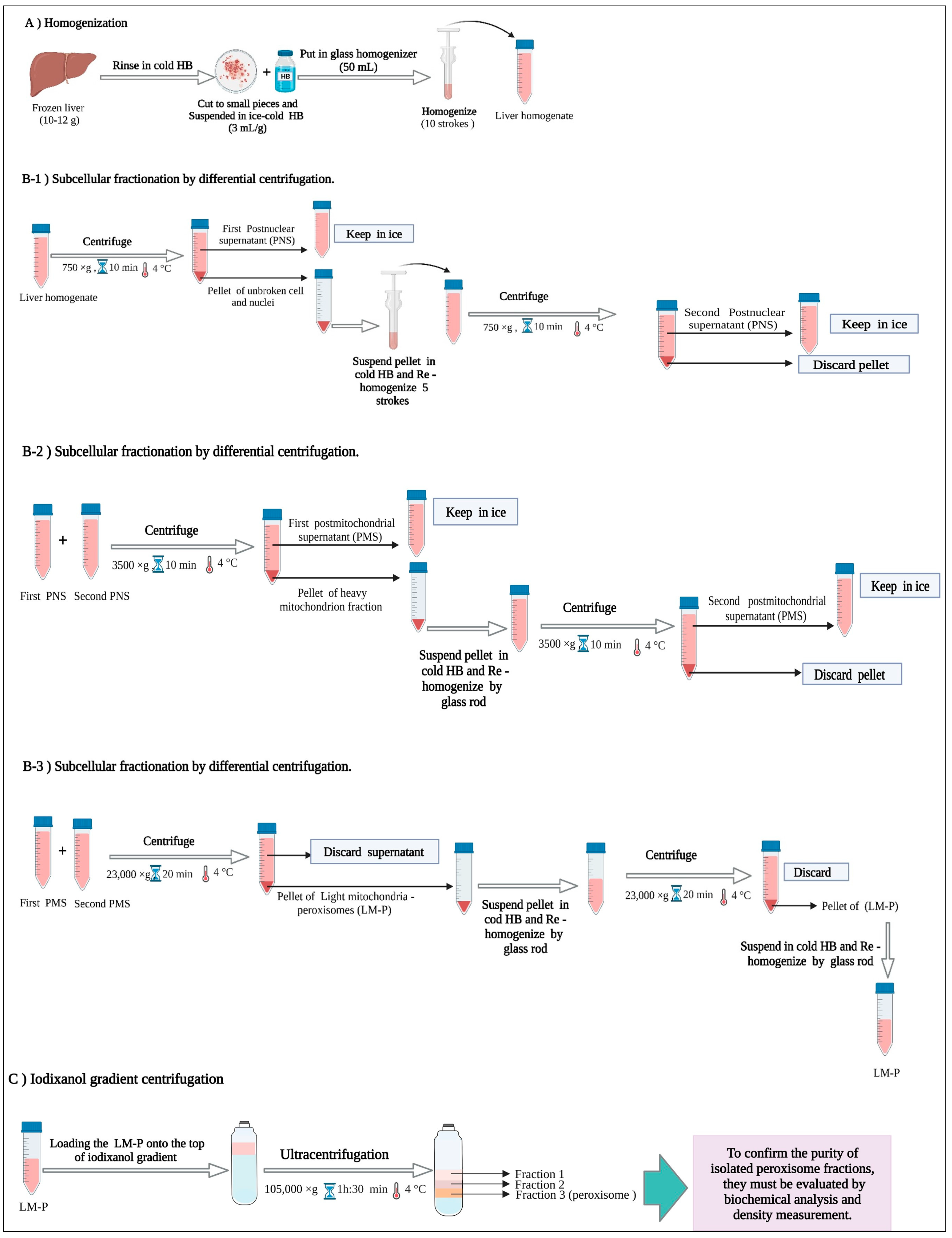 Separations 10 00306 g002