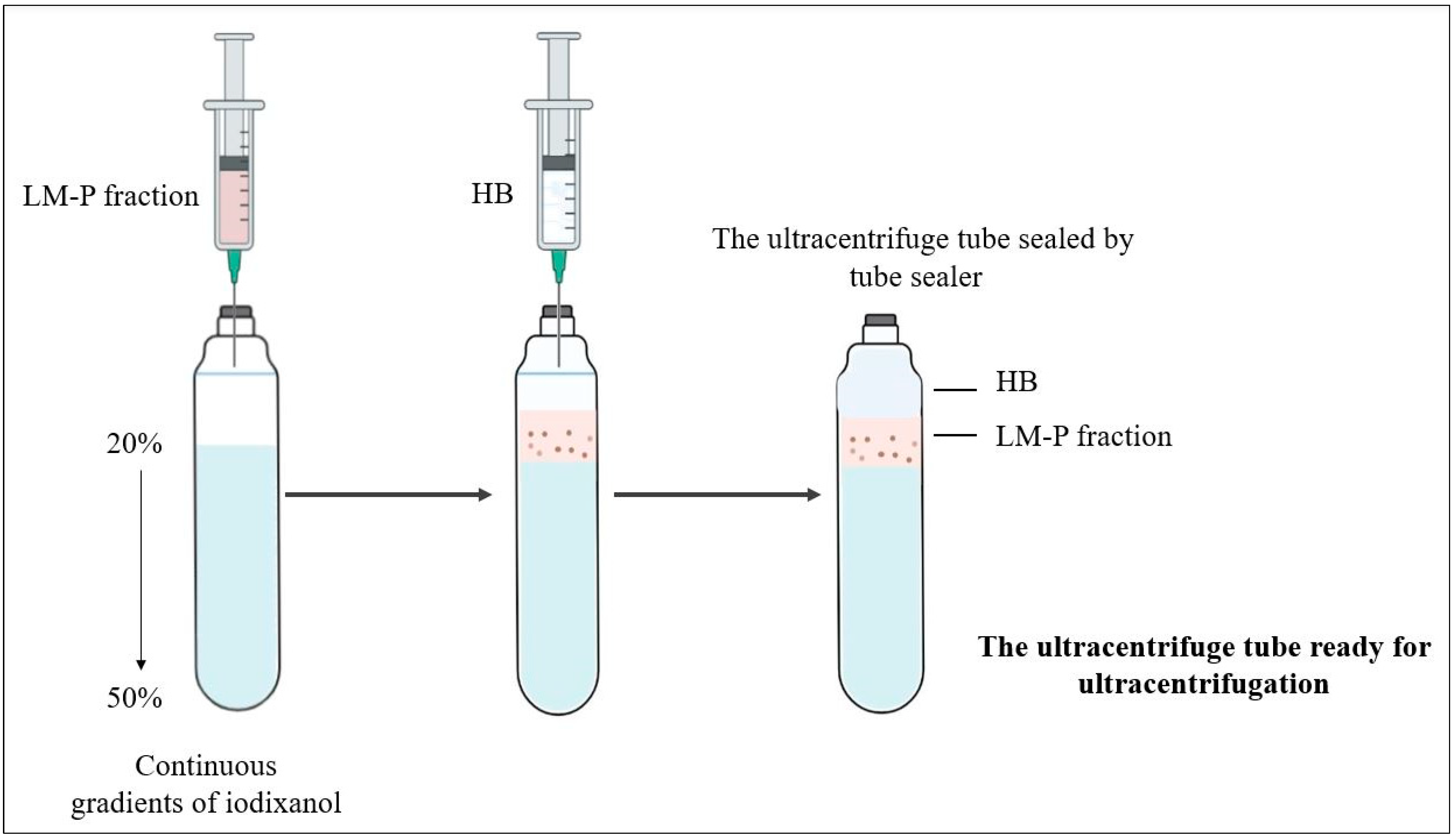 Separations 10 00306 g003