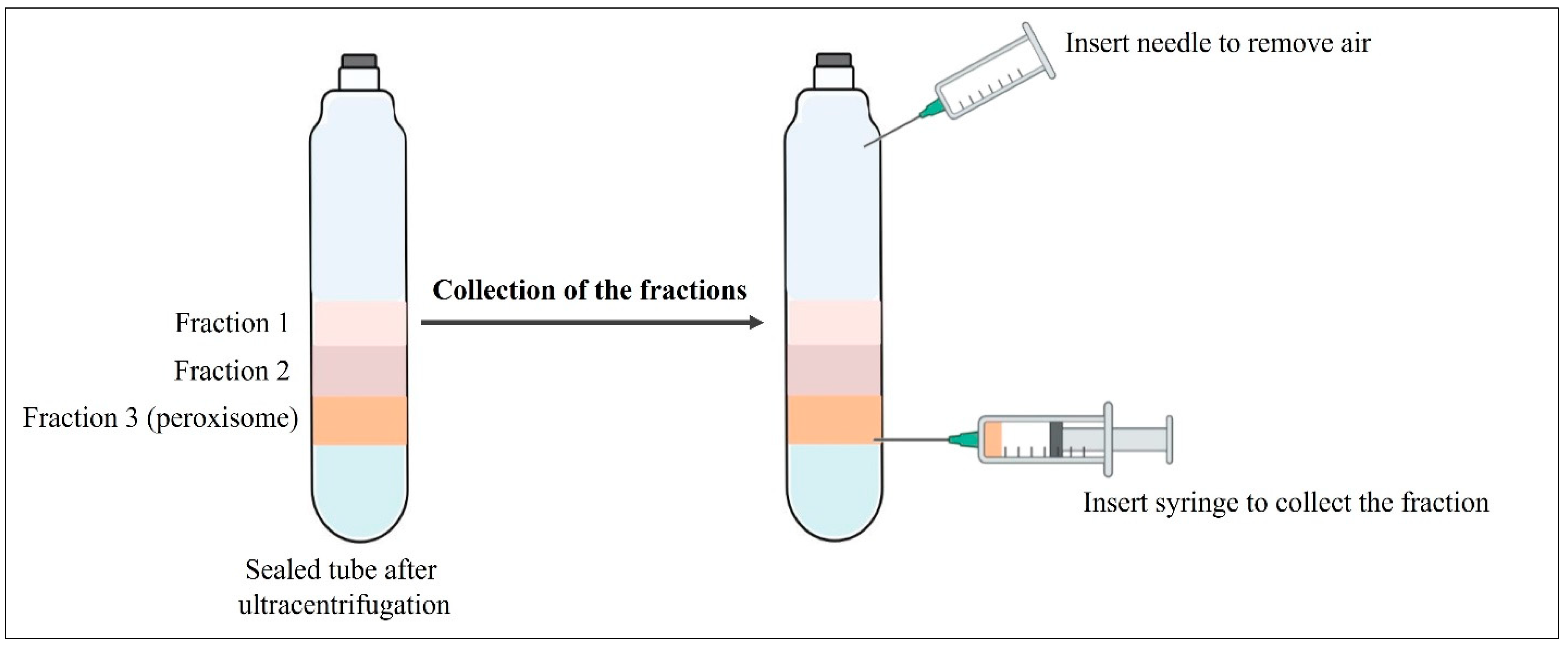 Separations 10 00306 g004