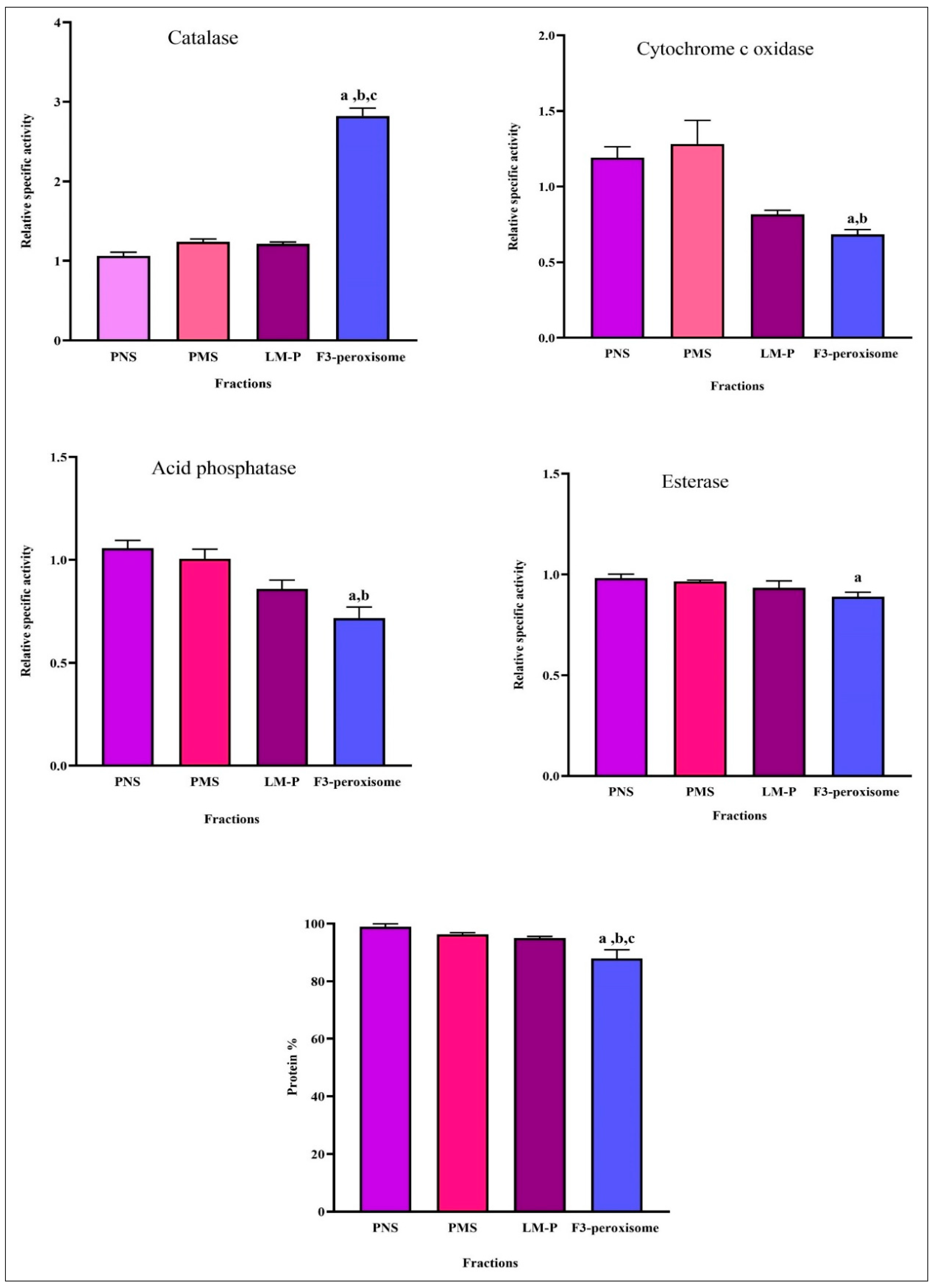Separations 10 00306 g005