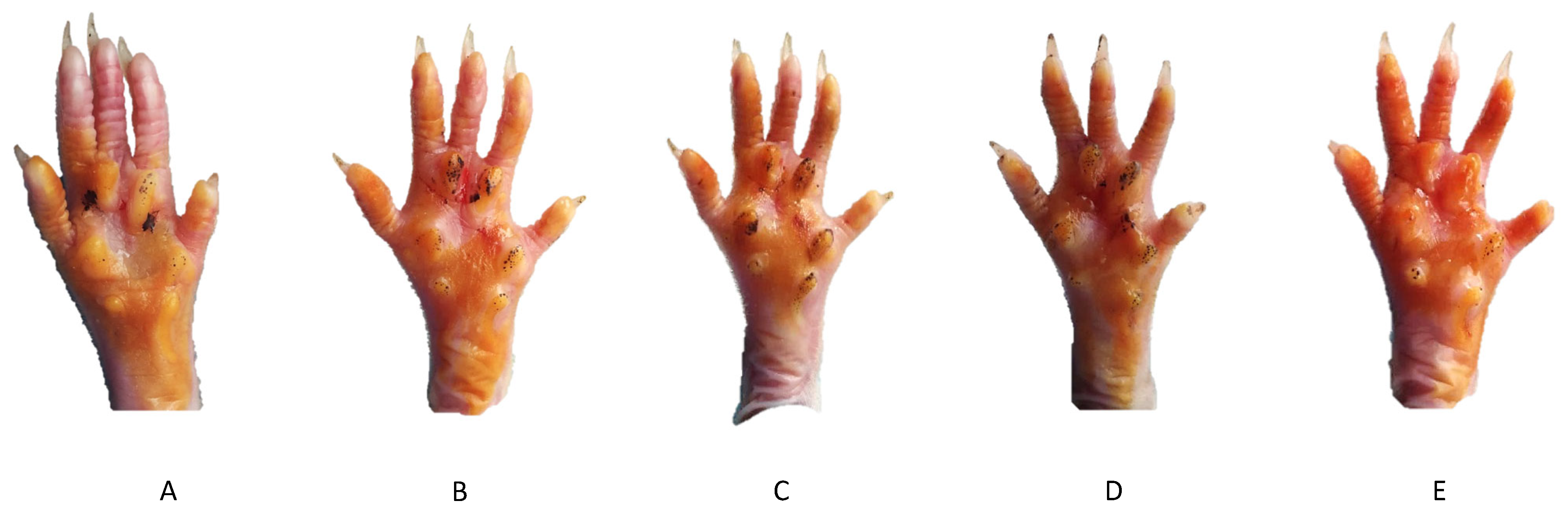 Separations 10 00324 g003