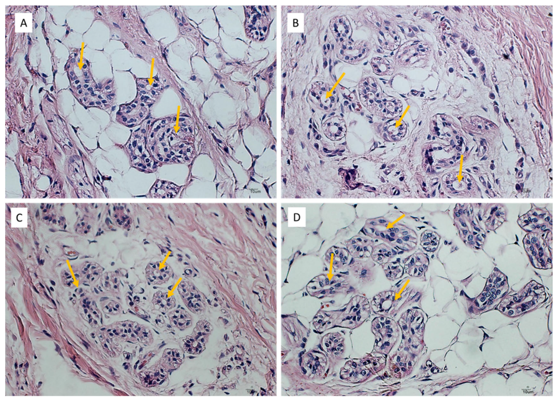 Separations 10 00324 g005