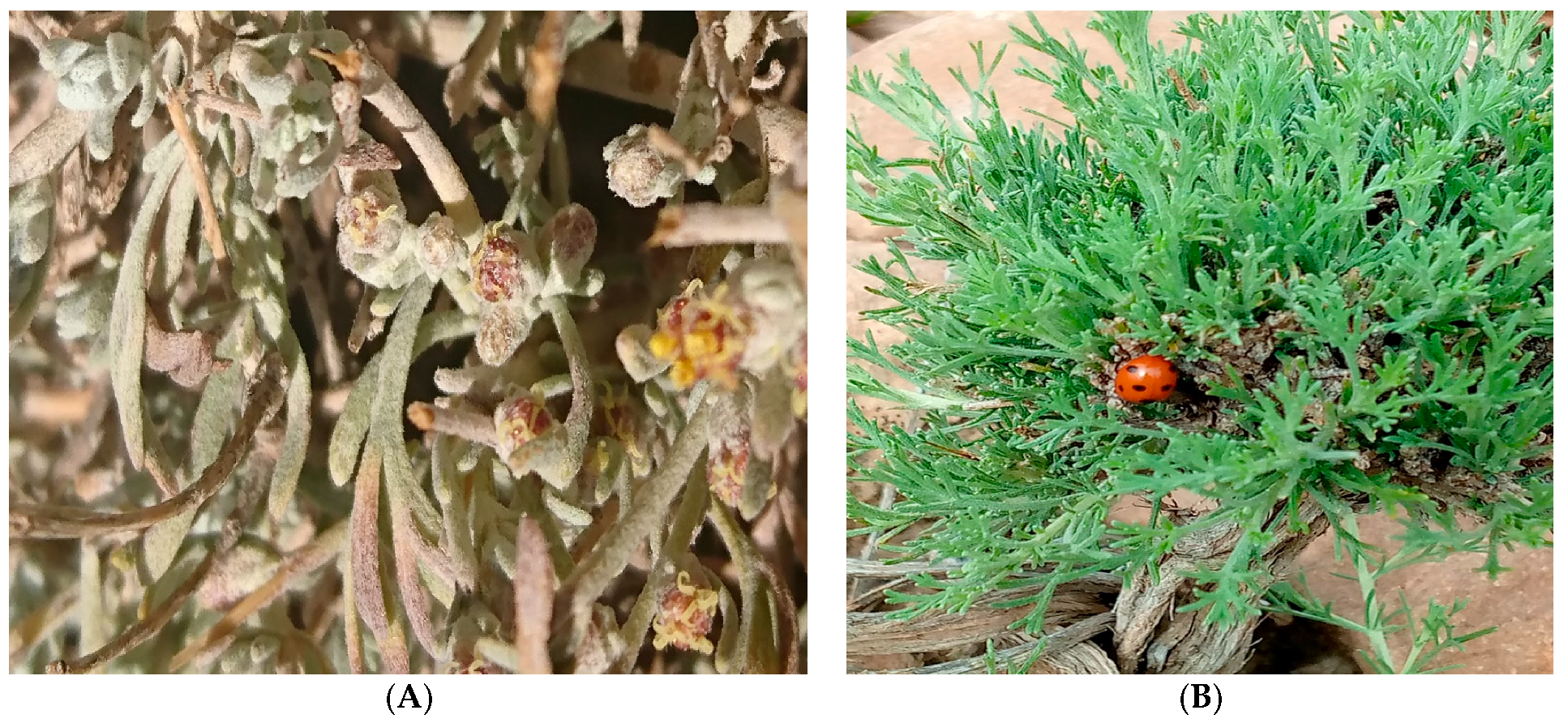 Separations 10 00329 g001 Separations 10 00329 g001