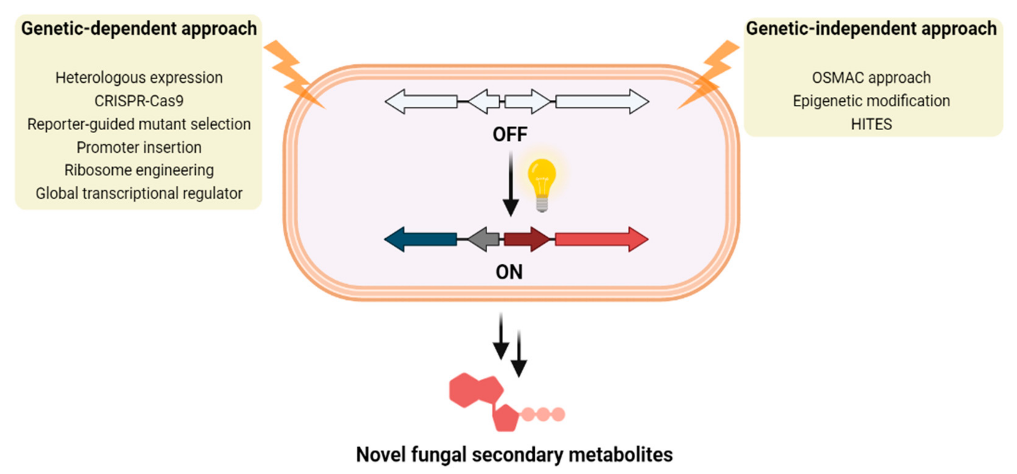 Separations 10 00333 g001
