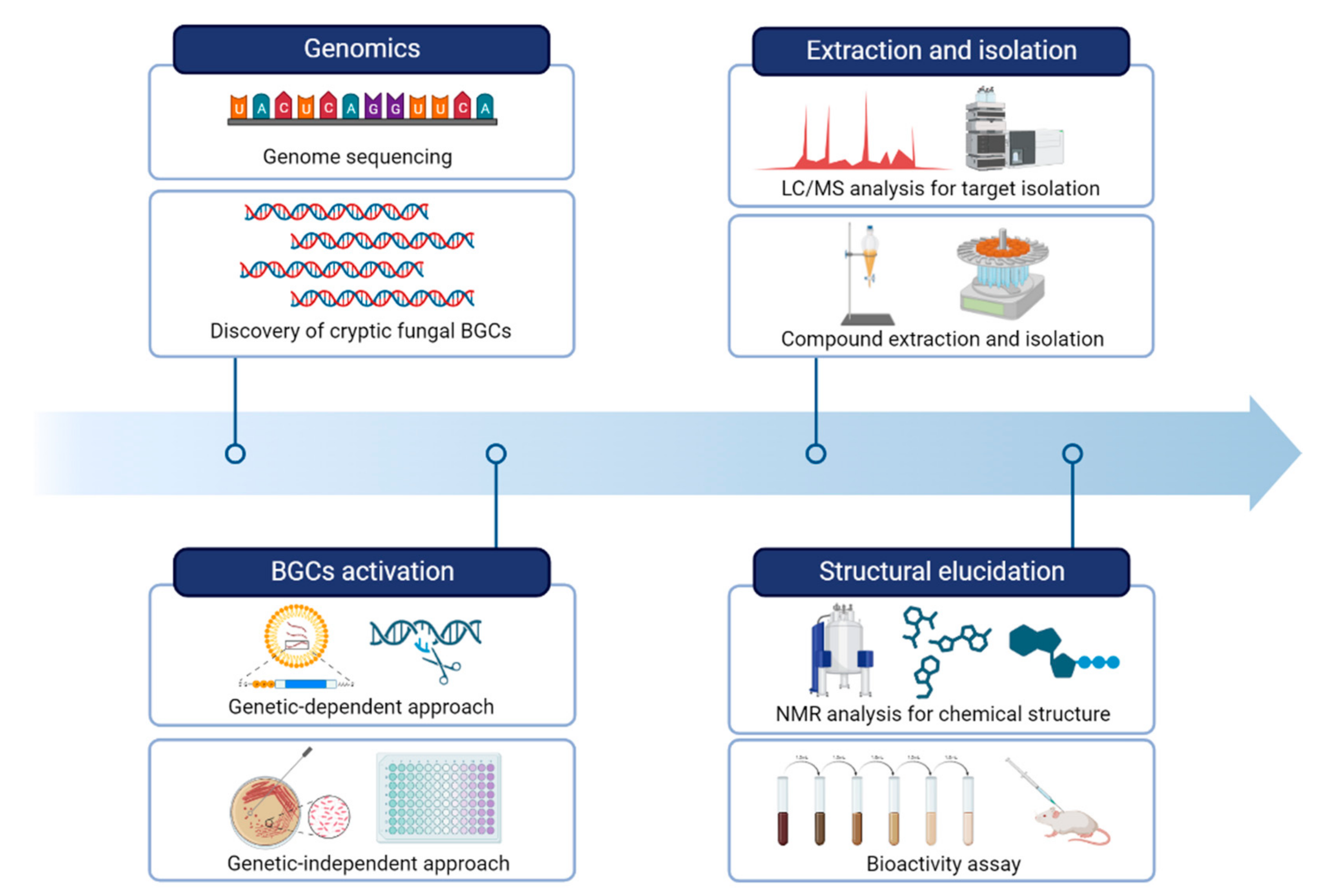 Separations 10 00333 g002