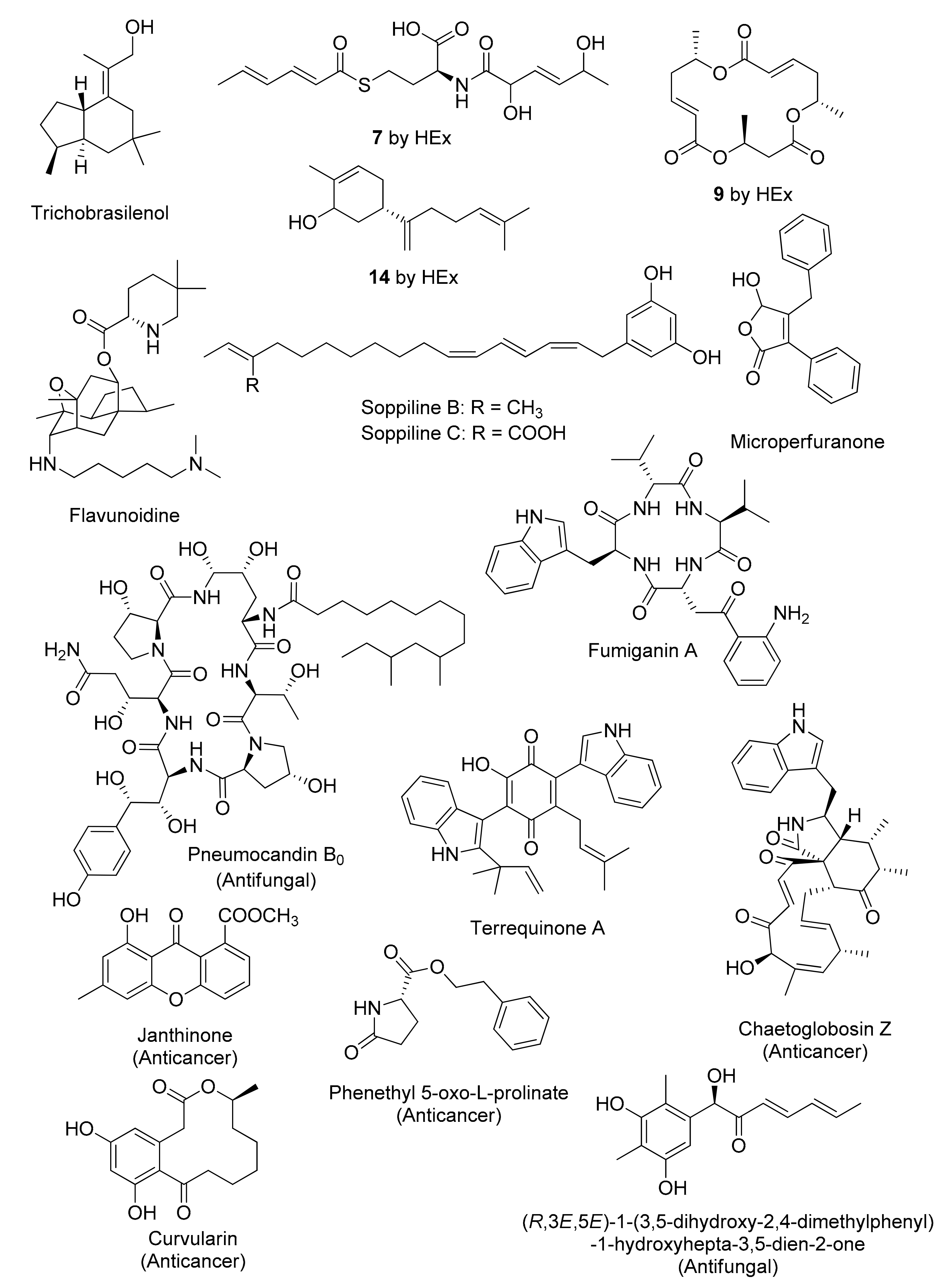 Separations 10 00333 g003