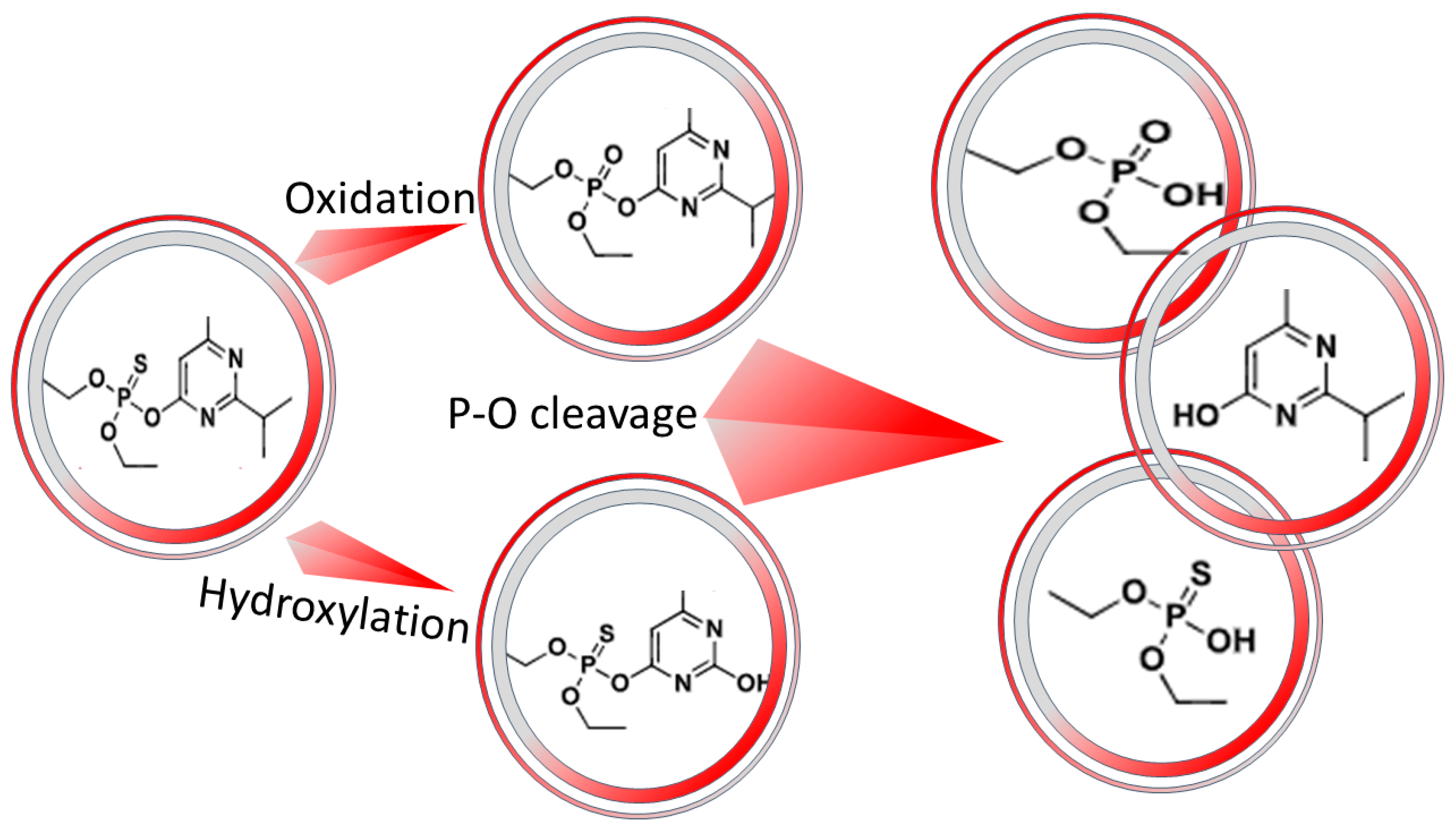 Separations 10 00337 g008 Separations 10 00337 g008