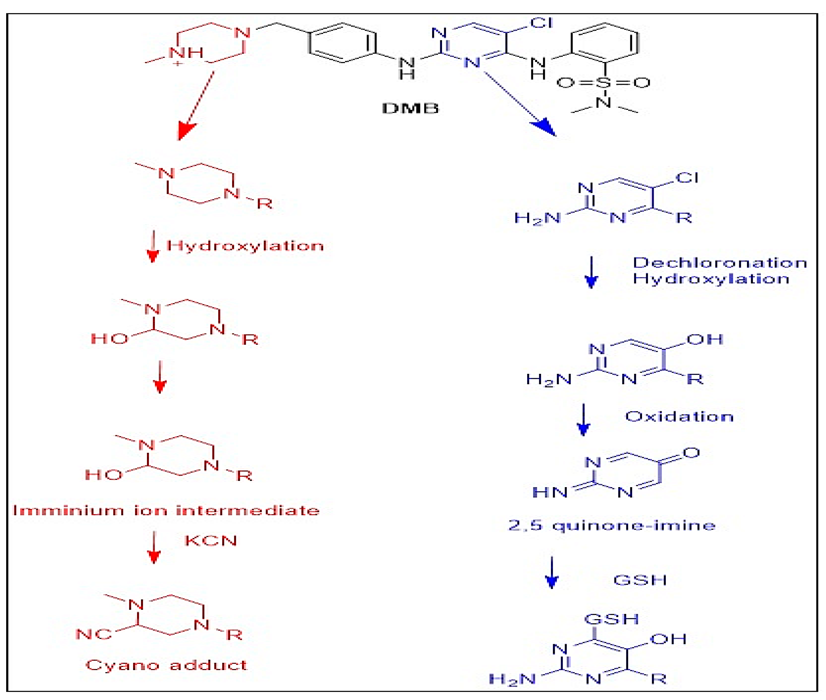 Separations 10 00353 g011