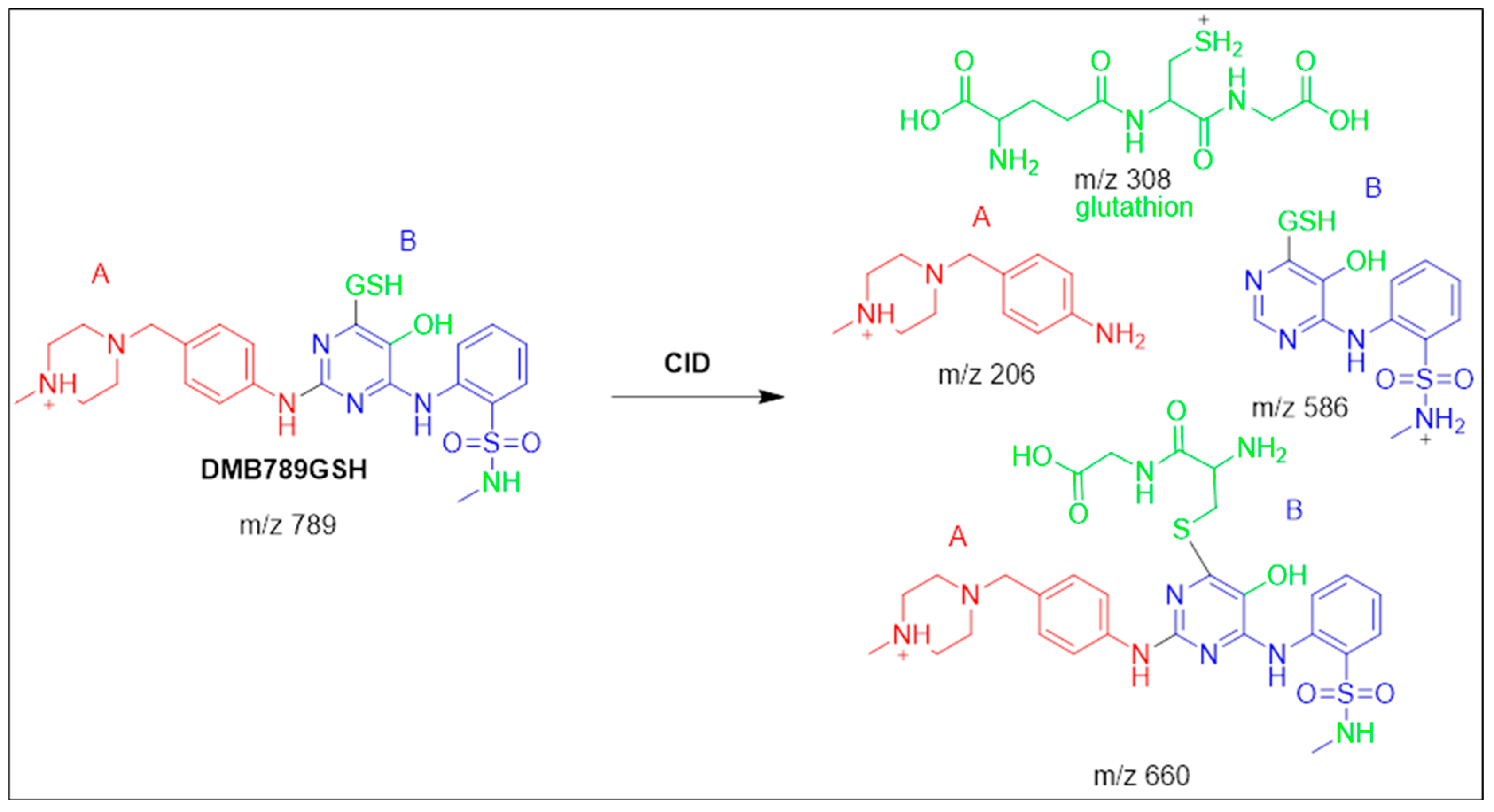 Separations 10 00353 sch005